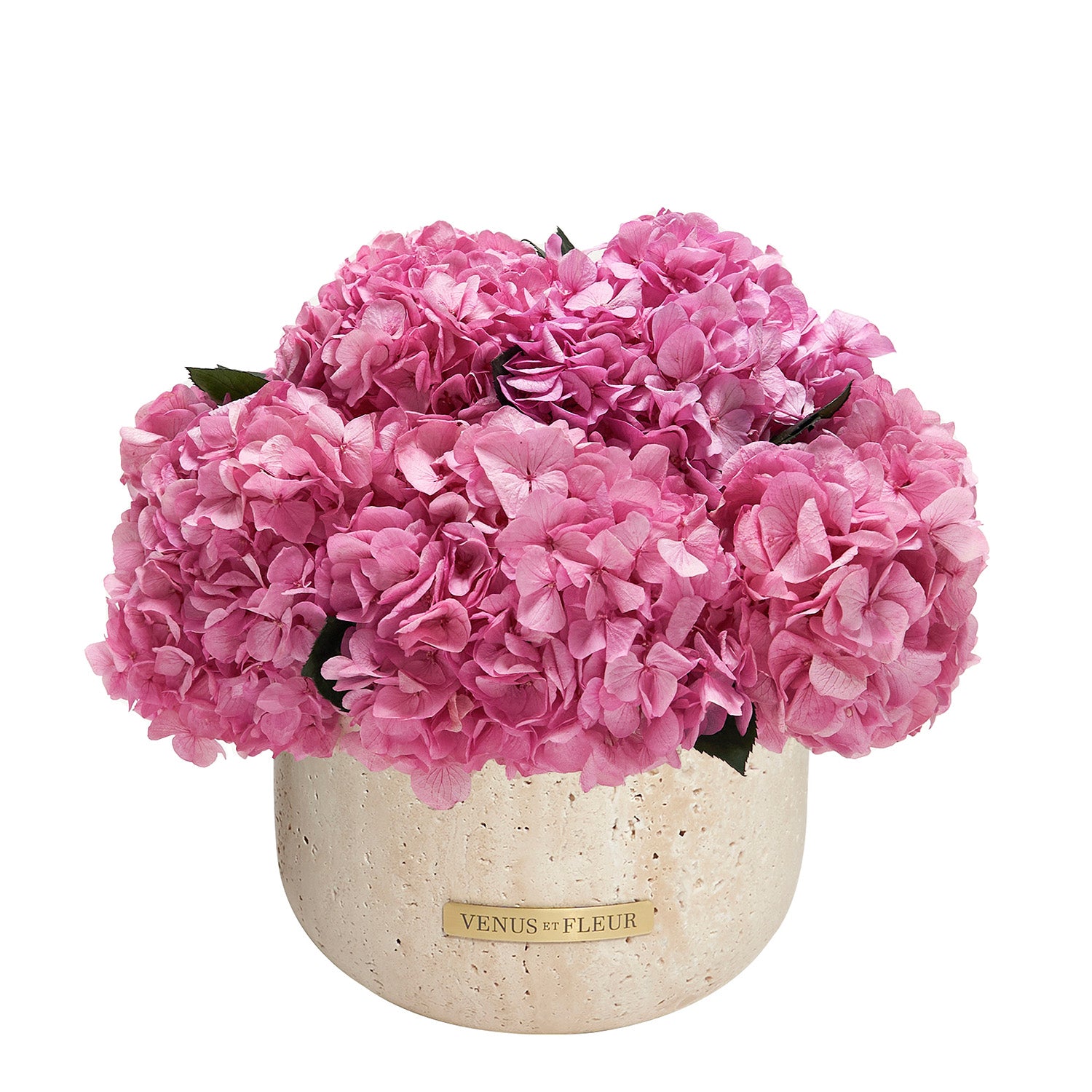 Terre Travertine Vase - Venusetflleur
