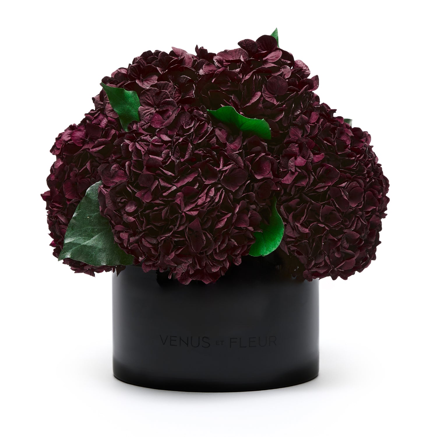 Eau Smoked Glass Vase - Venusetflleur