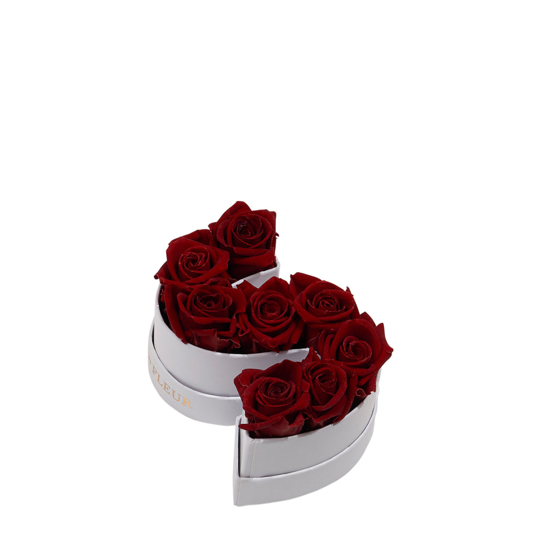 Le Mini Letter – S - Venusetflleur