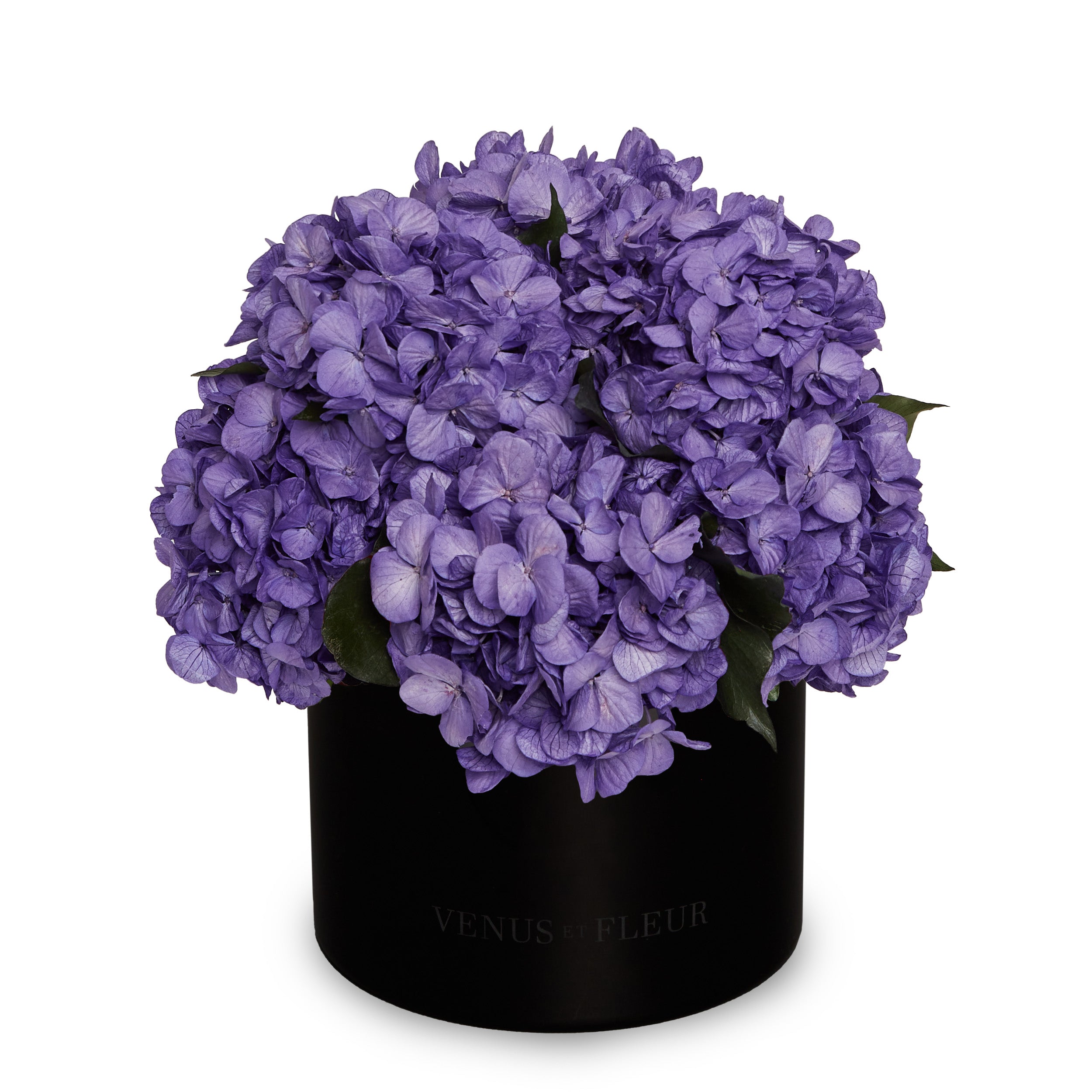 Eau Smoked Glass Vase - Venusetflleur