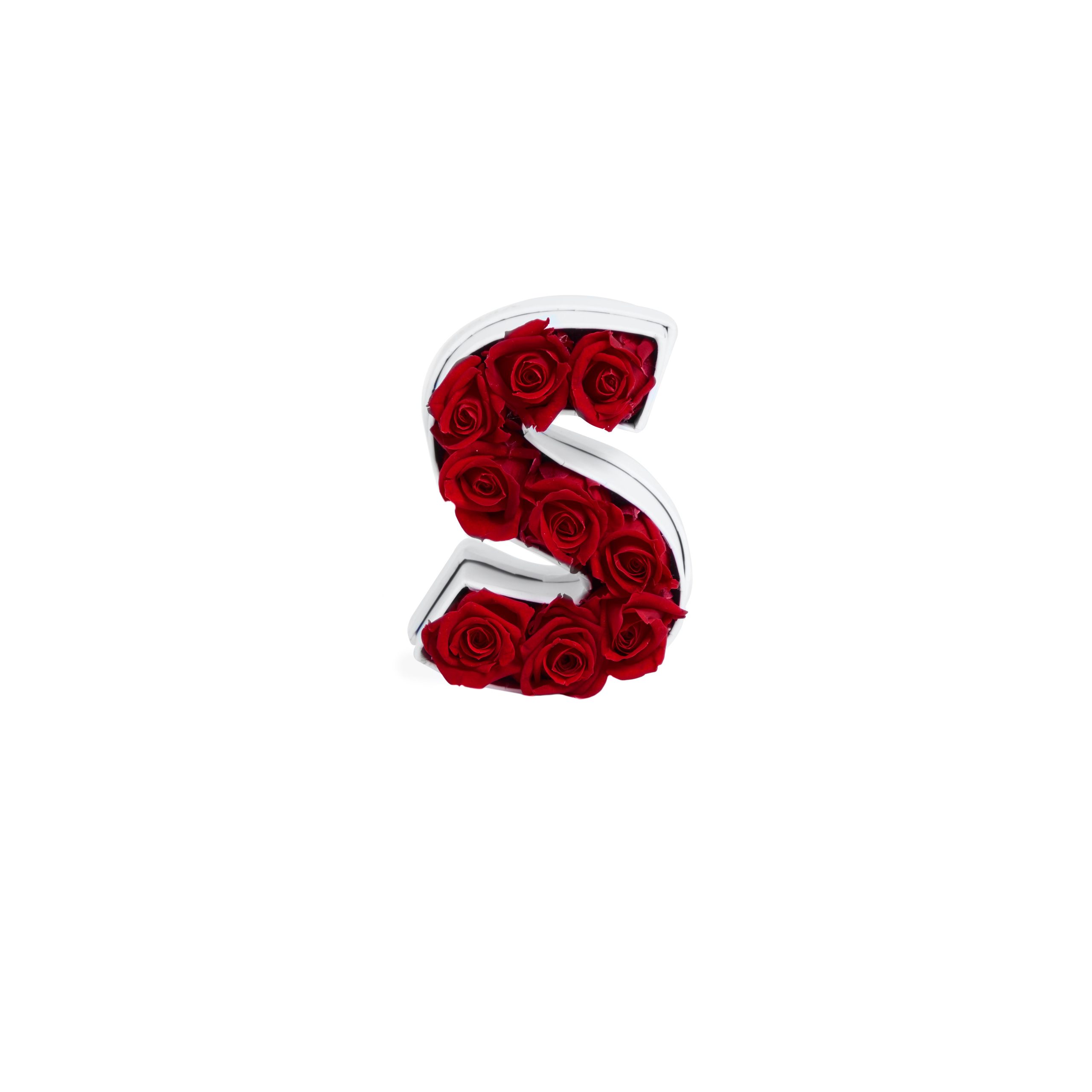 Le Mini Letter – S - Venusetflleur