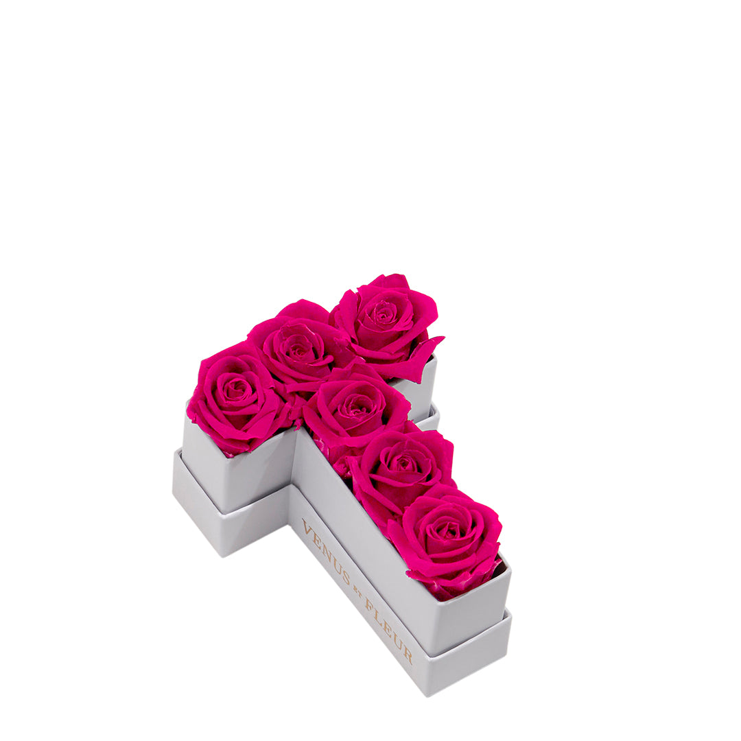 Le Mini Letter – T - Venusetflleur