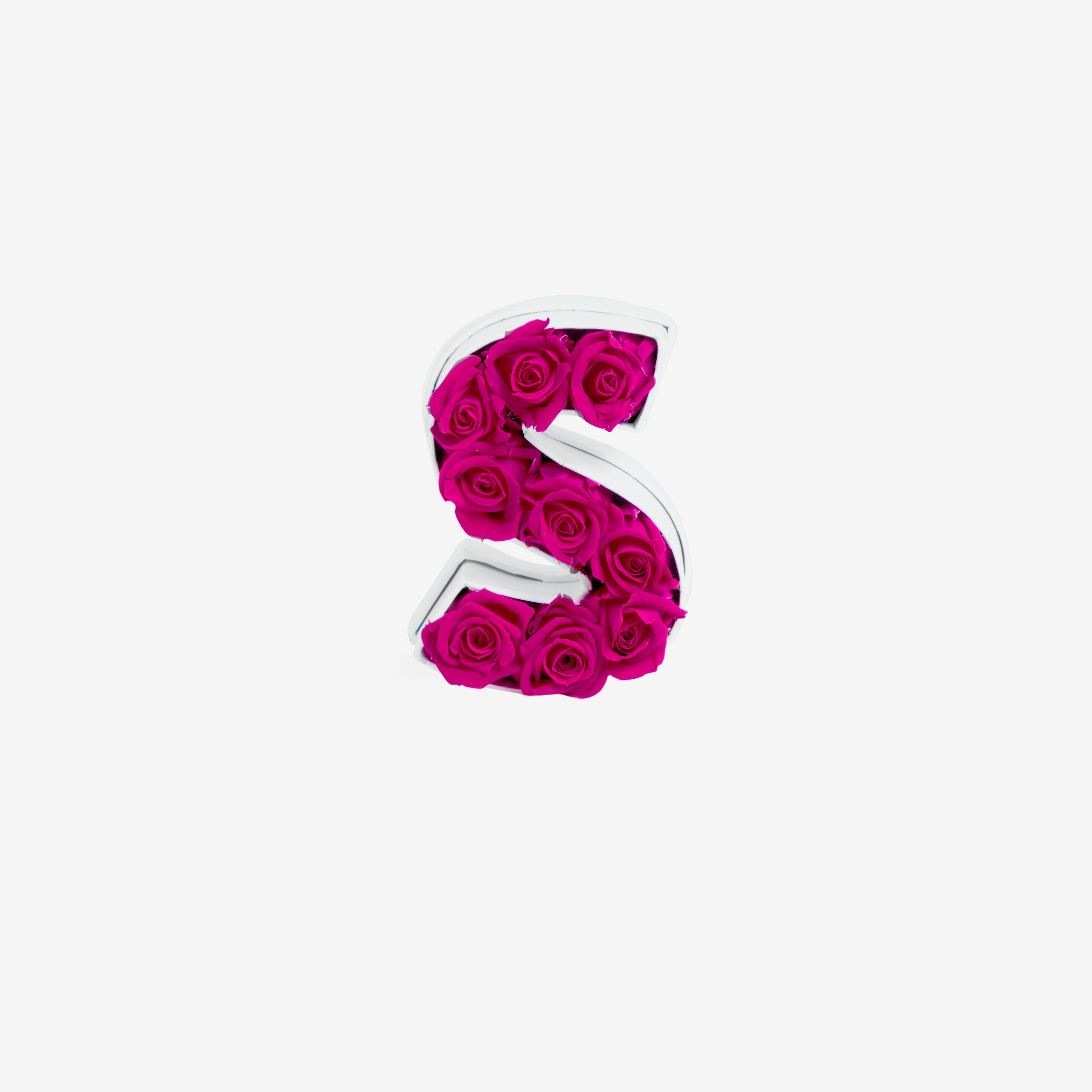 Le Mini Letter – S - Venusetflleur