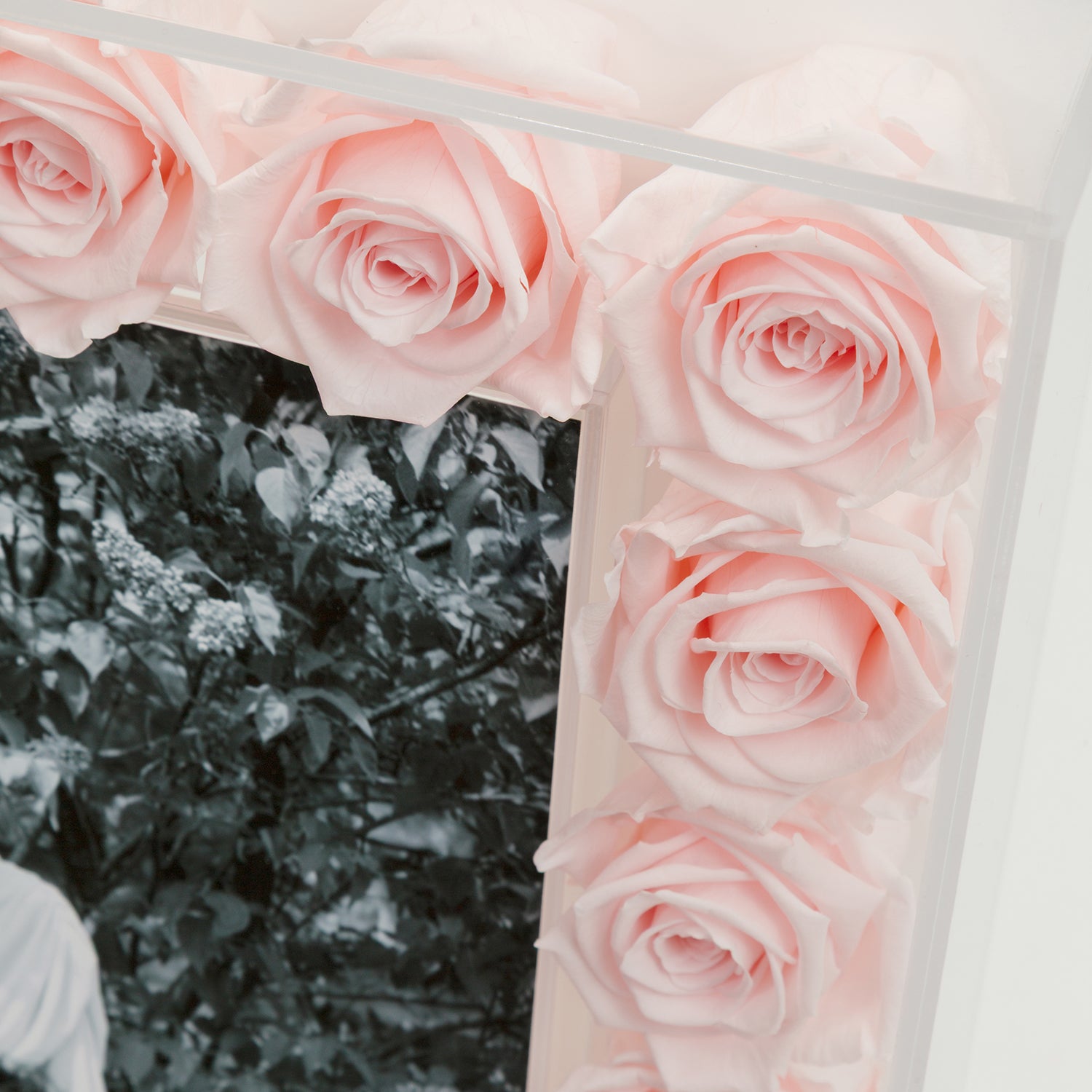 Grand Fleur Frame - Venusetflleur