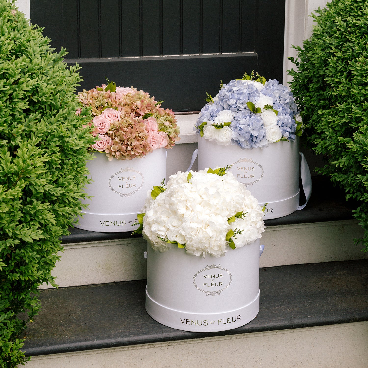 Large Round Roses & Hydrangeas - Venusetflleur
