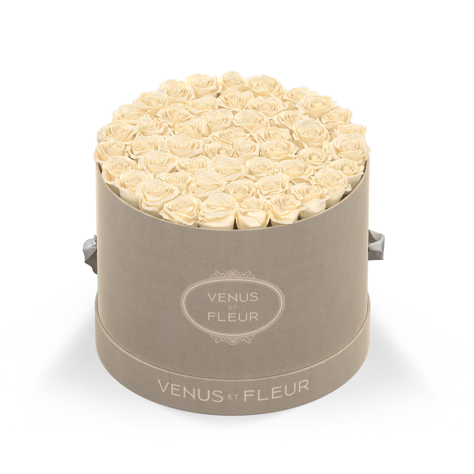 Large Round - Venusetflleur