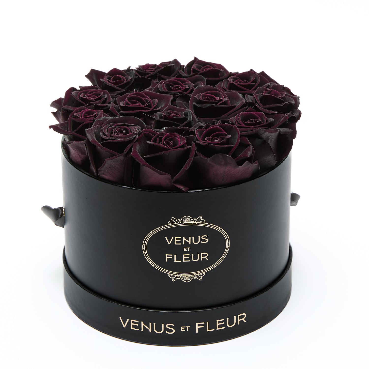 Small Round - Venusetflleur