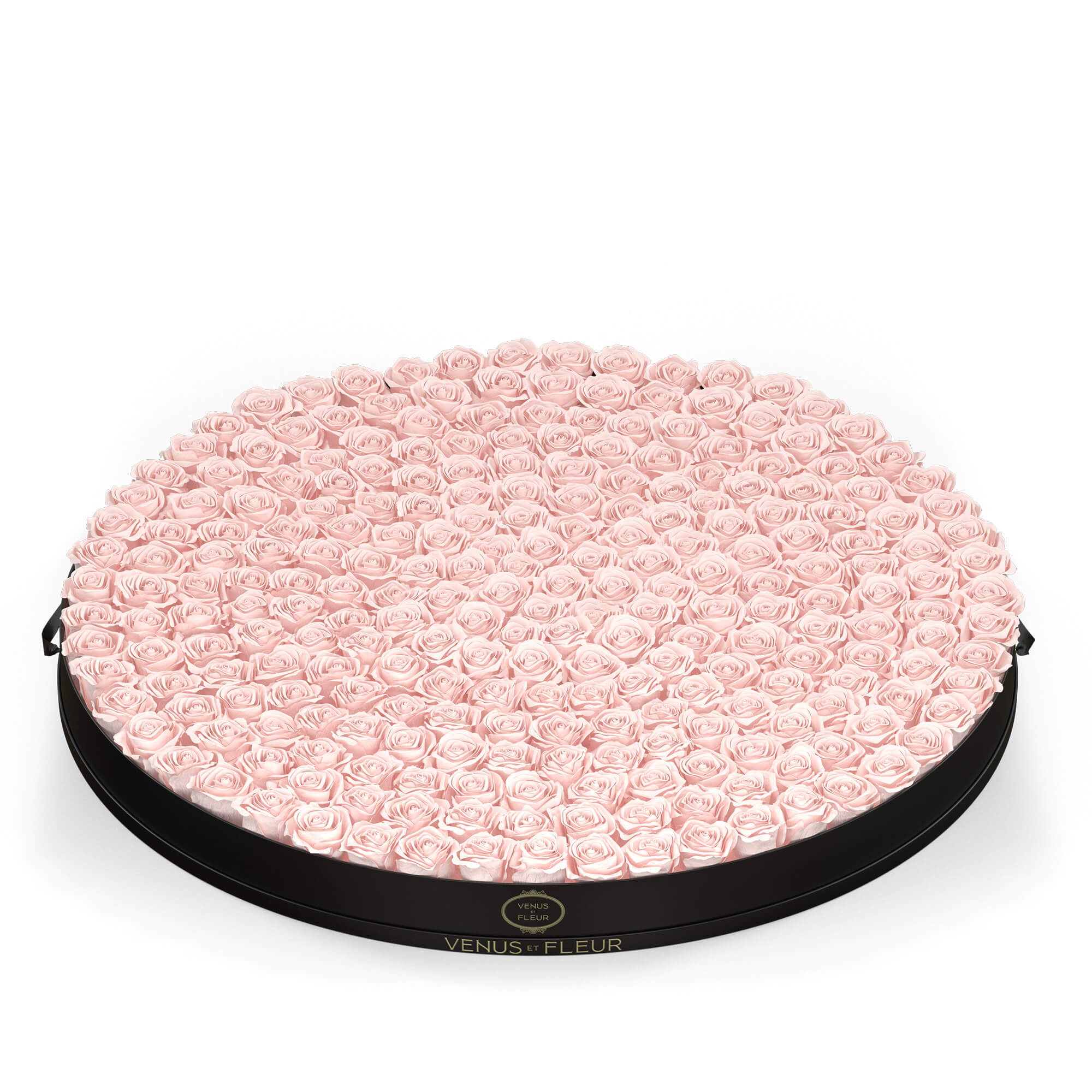 Round Grandiose - Venusetflleur