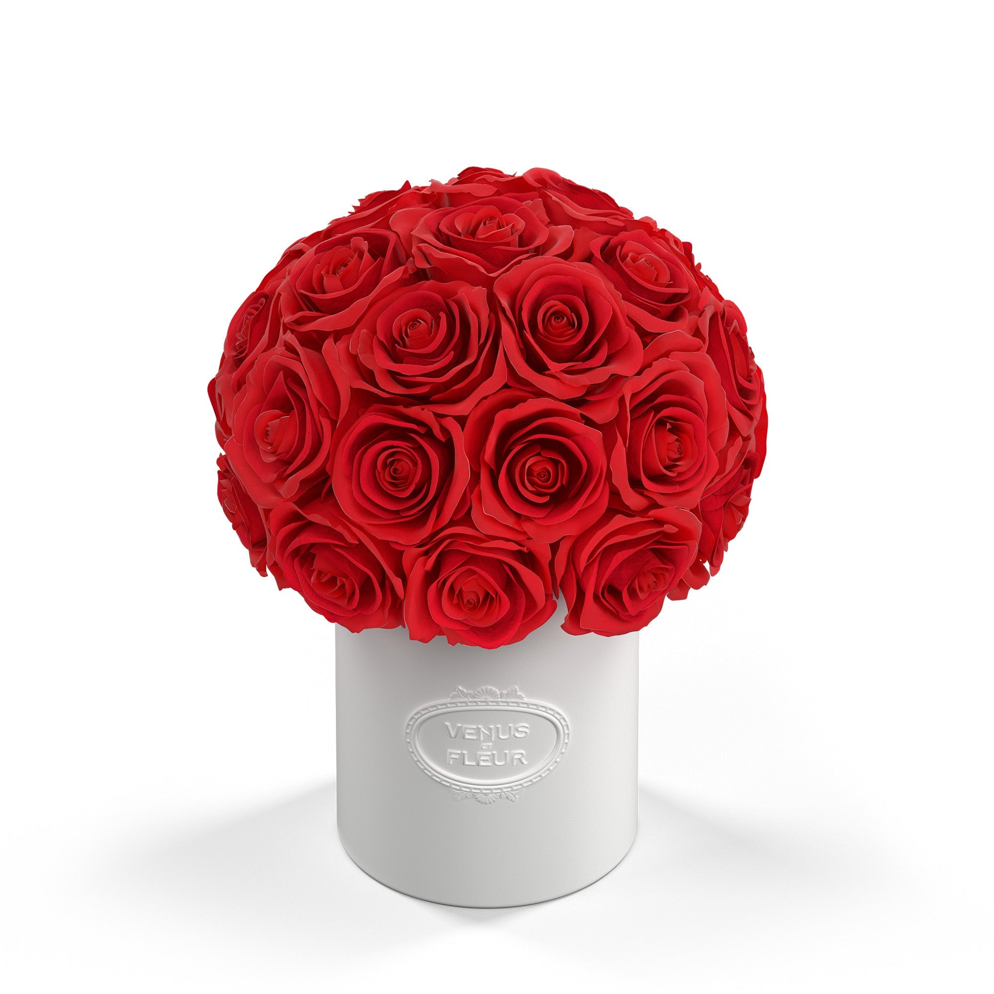 Fleura Porcelain Vase - Venusetflleur