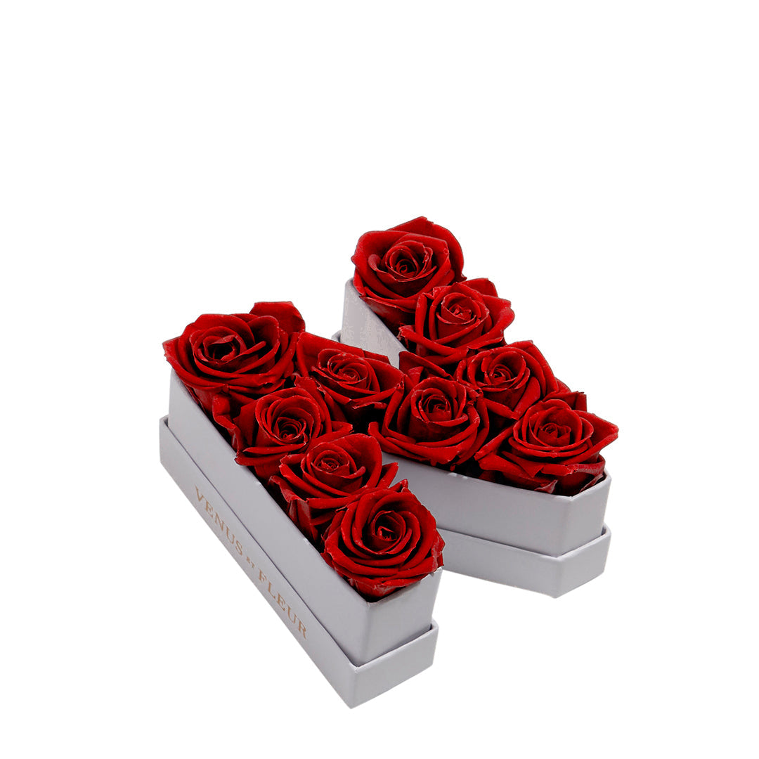 Le Mini Letter – N - Venusetflleur