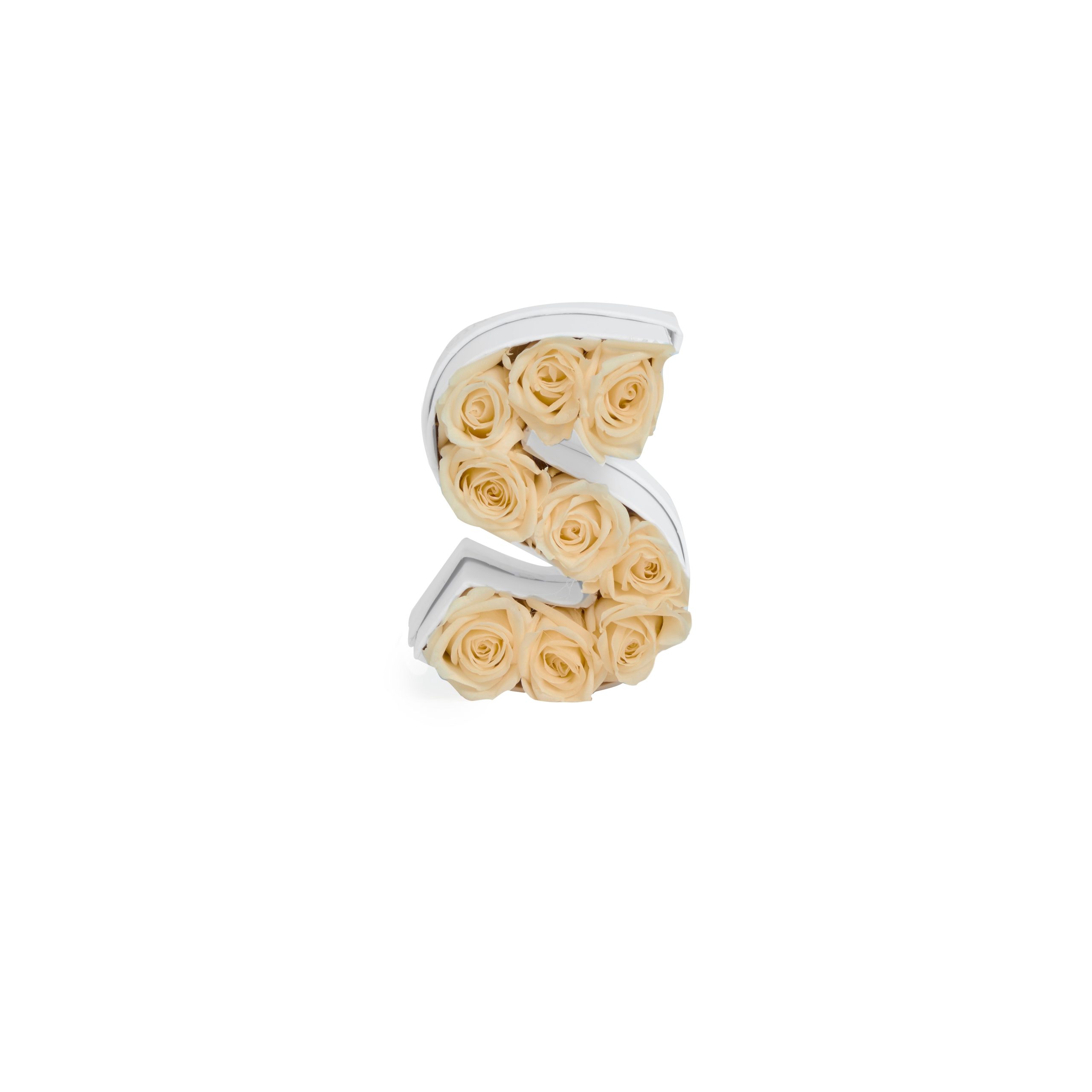 Le Mini Letter – S - Venusetflleur