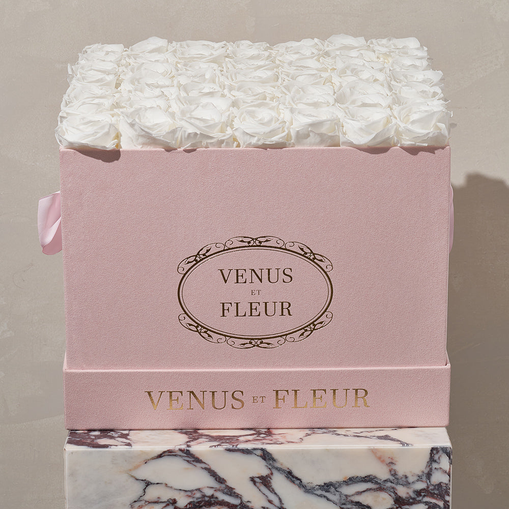 Large Square - Venusetflleur