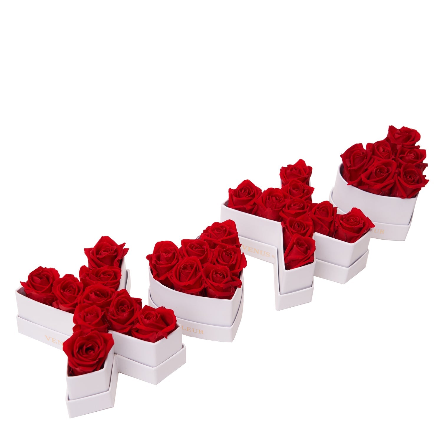 Le Mini XOXO Gift Set - Venusetflleur