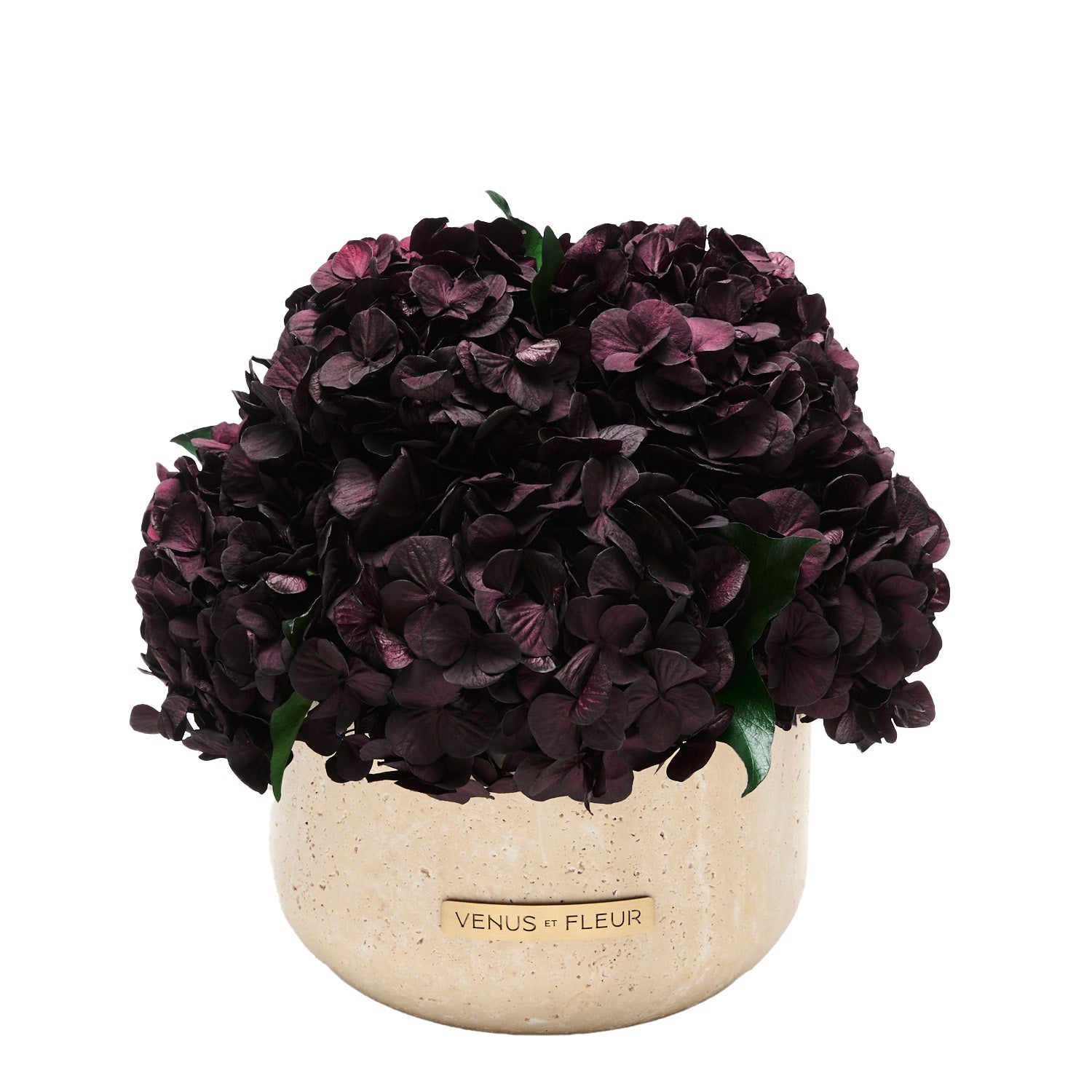 Terre Travertine Vase - Venusetflleur