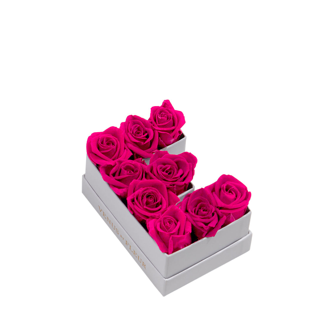 Le Mini Letter – E - Venusetflleur