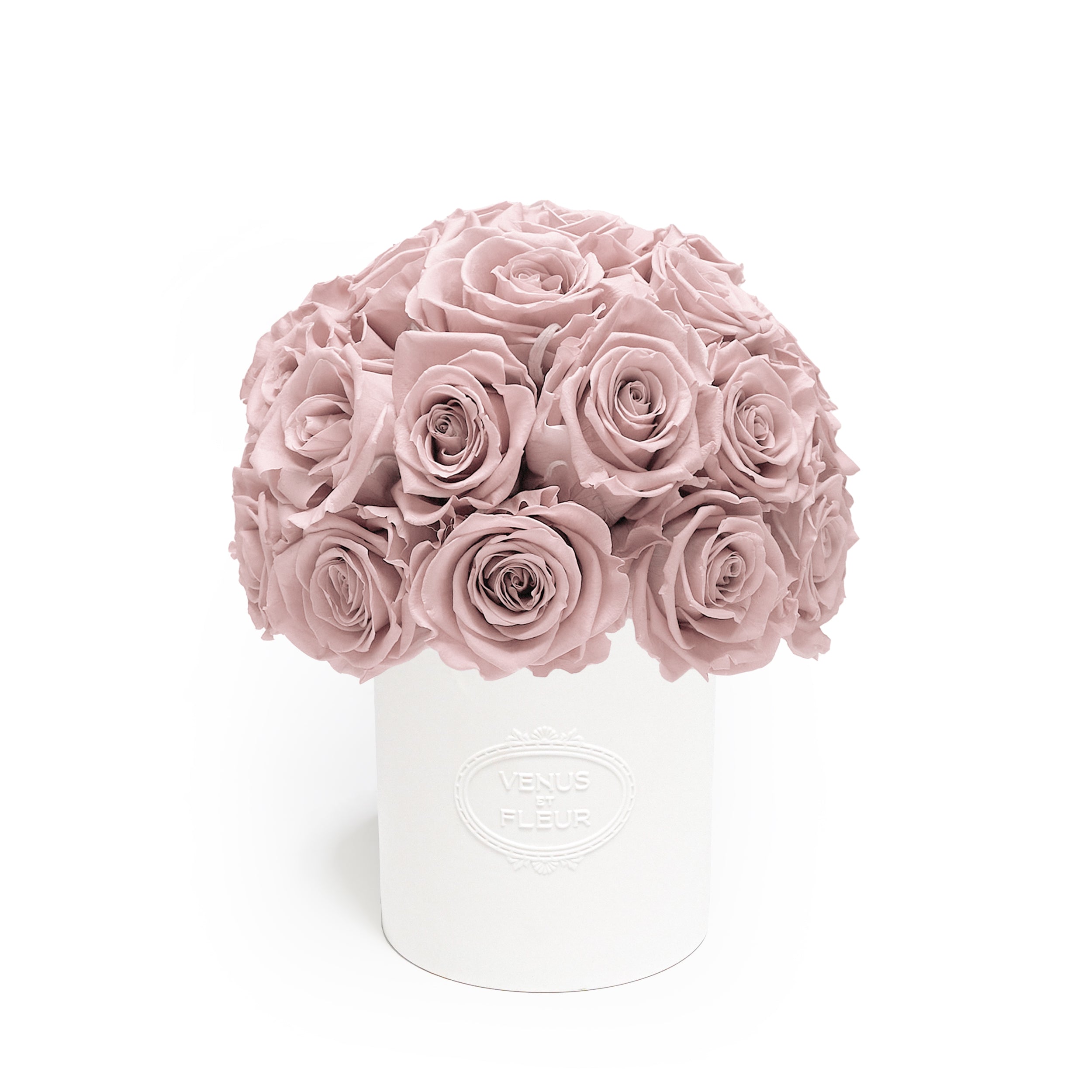 Fleura Porcelain Vase - Venusetflleur