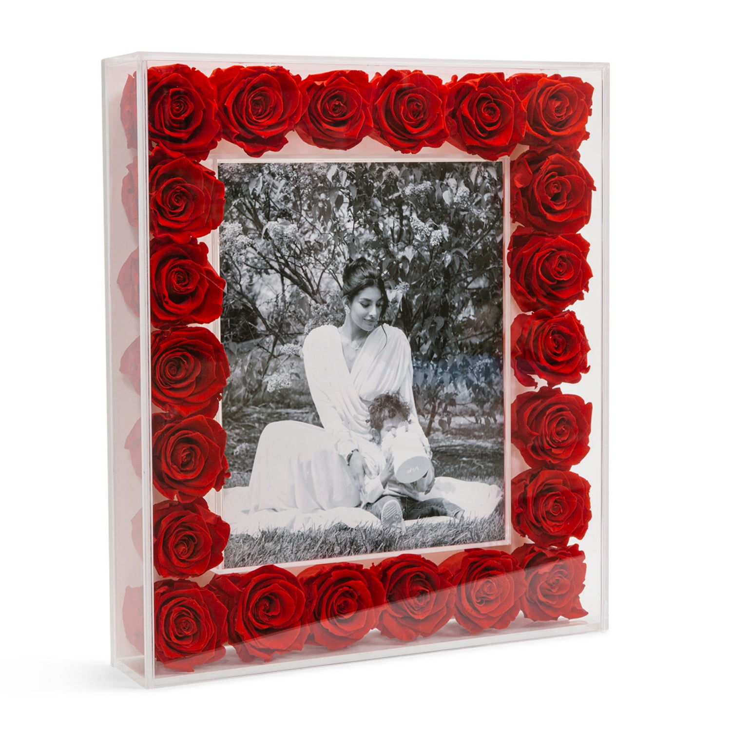 Grand Fleur Frame - Venusetflleur