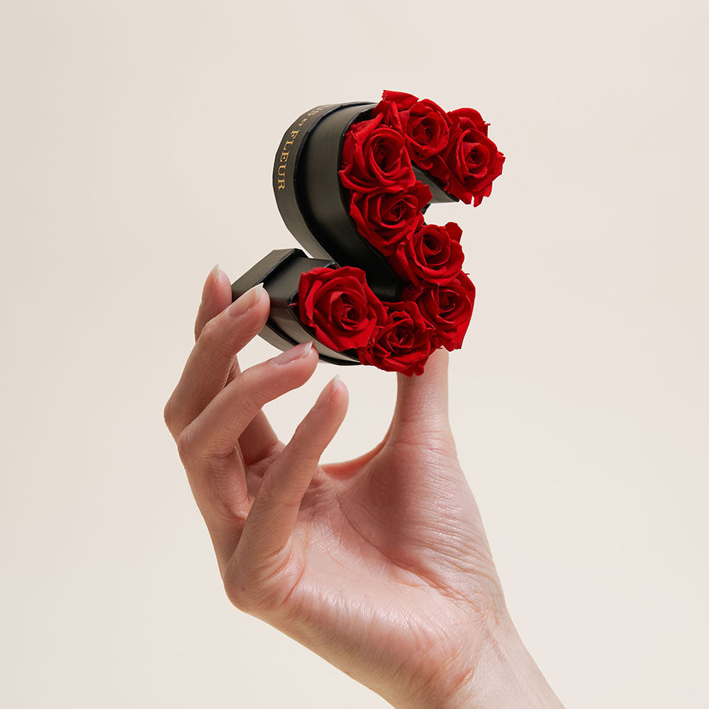 Le Mini Letter – C - Venusetflleur