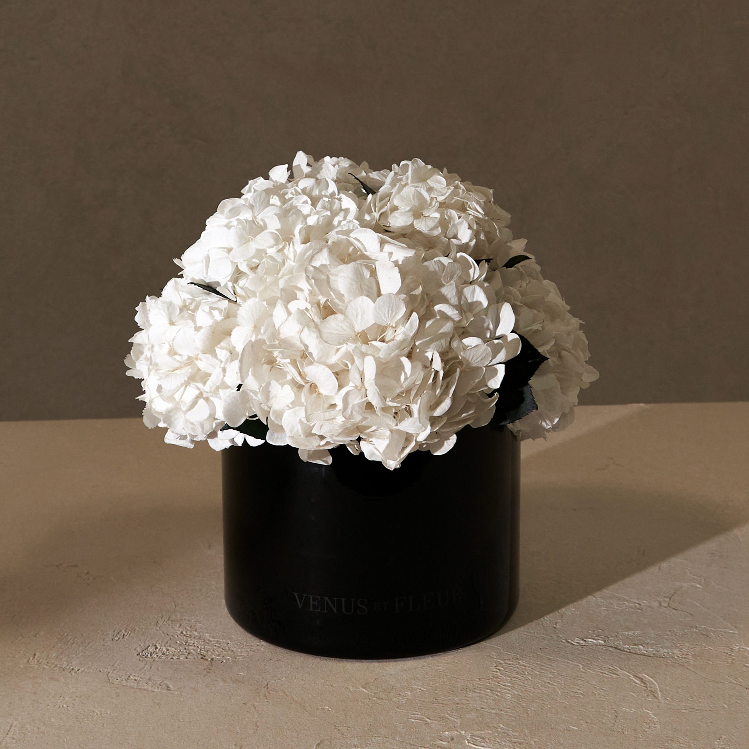 Eau Smoked Glass Vase - Venusetflleur