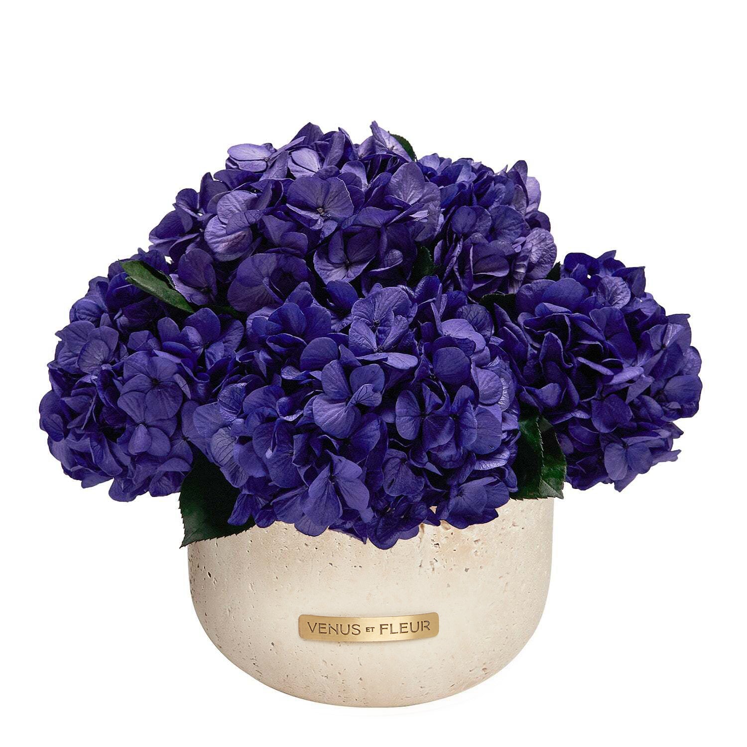 Terre Travertine Vase - Venusetflleur