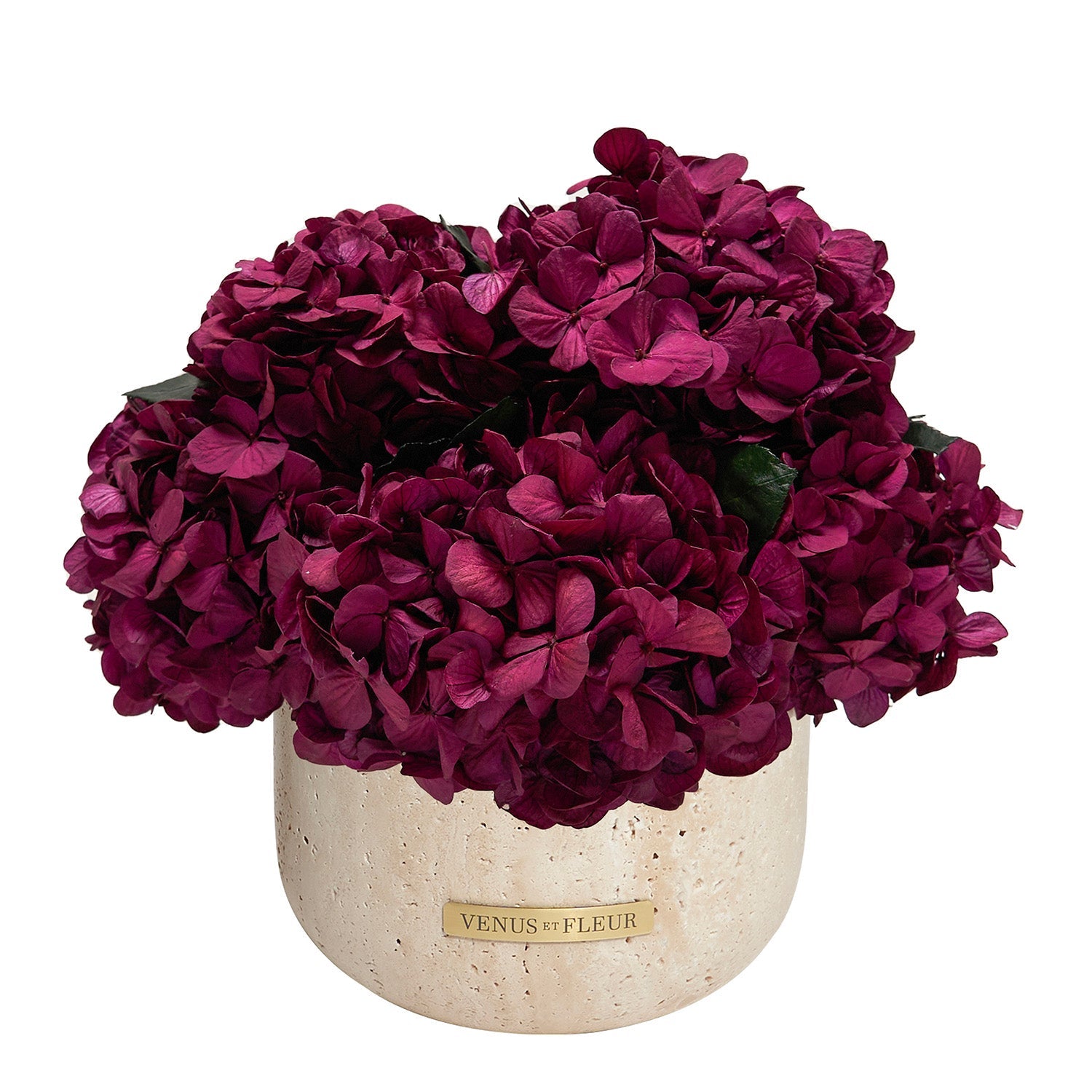 Terre Travertine Vase - Venusetflleur