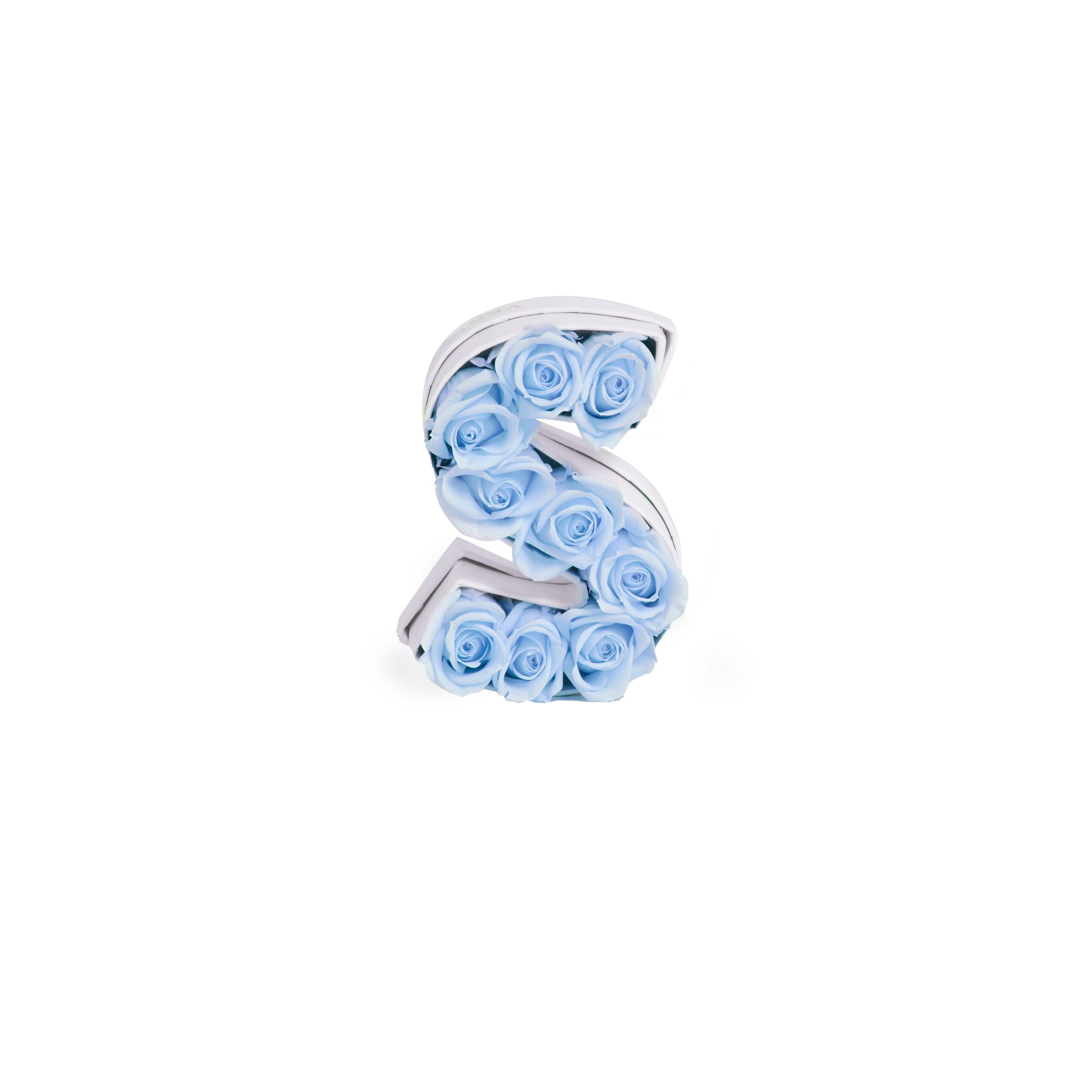 Le Mini Letter – S - Venusetflleur