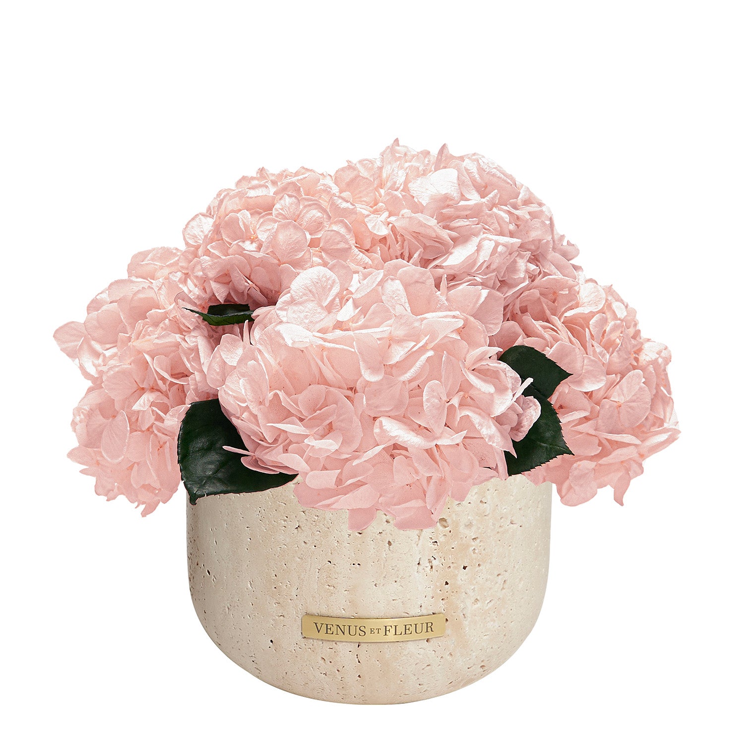 Terre Travertine Vase - Venusetflleur