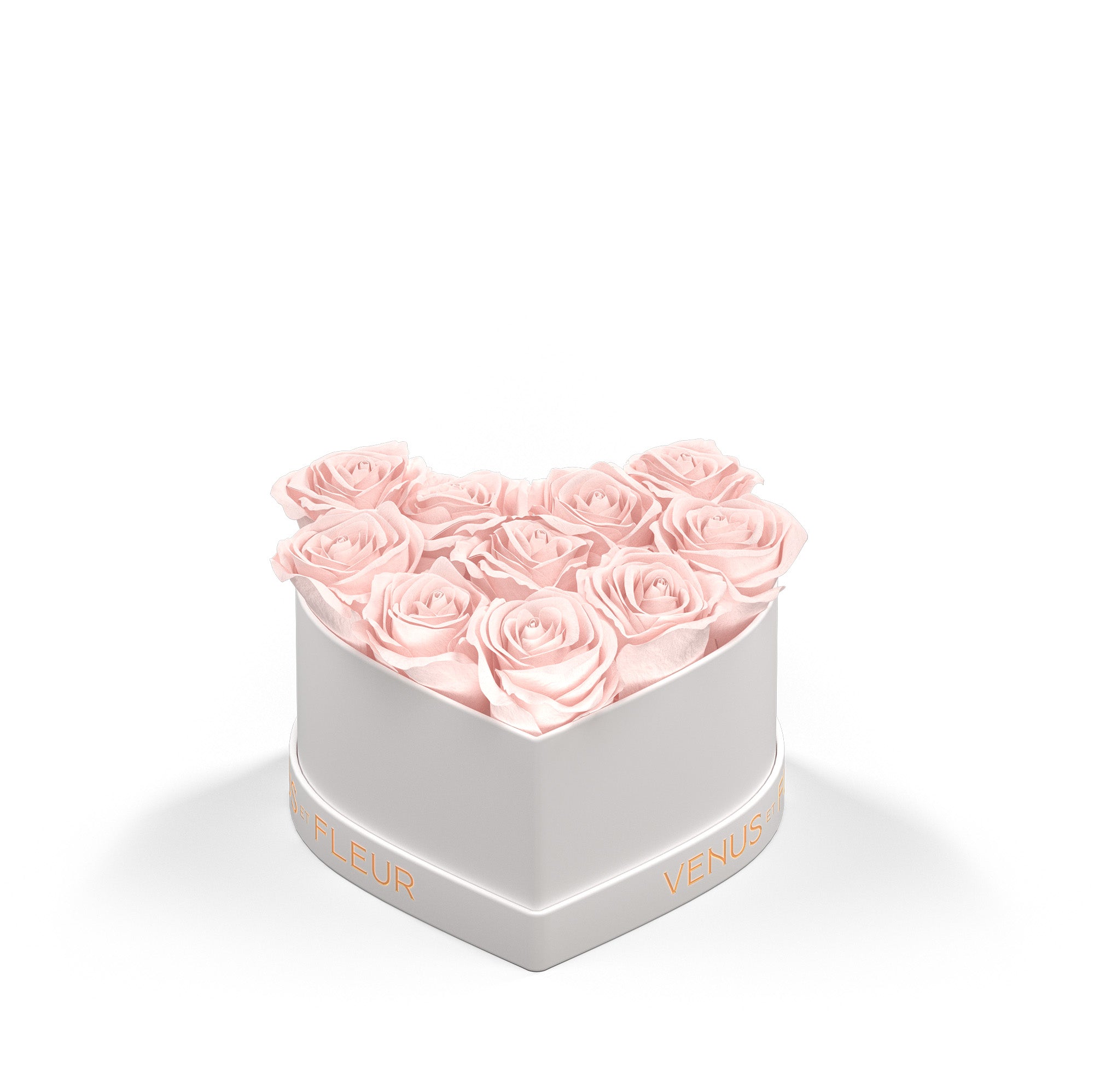 Petit Heart - Venusetflleur