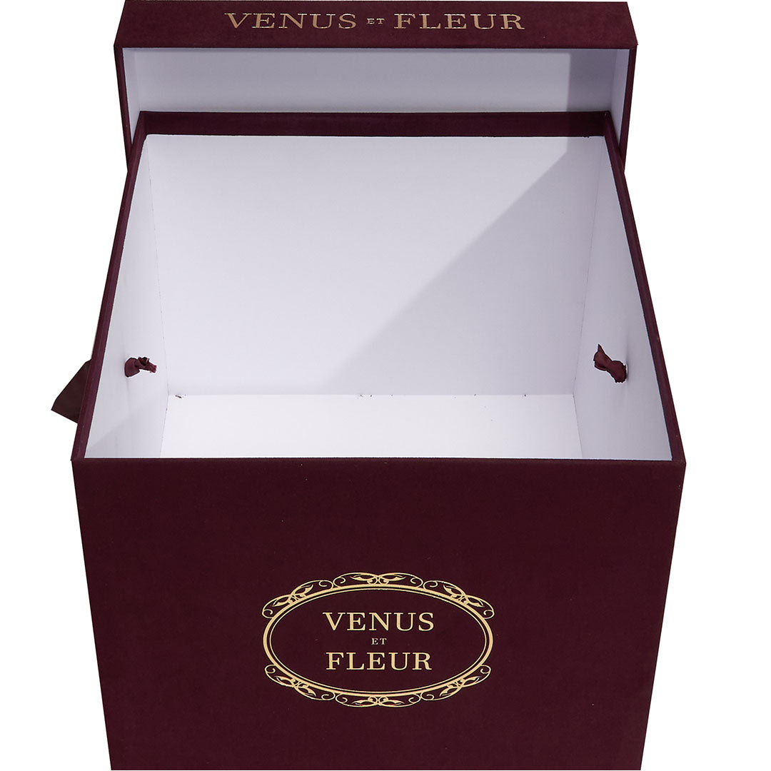 Small Square - Venusetflleur