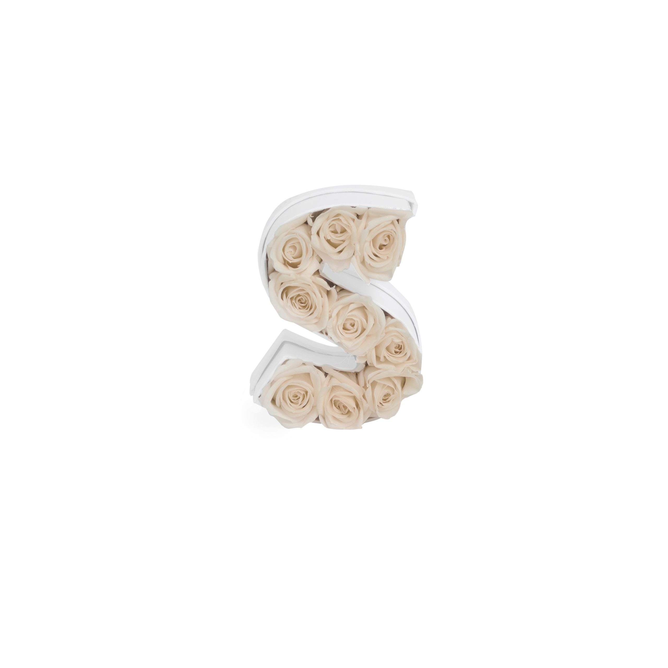 Le Mini Letter – S - Venusetflleur