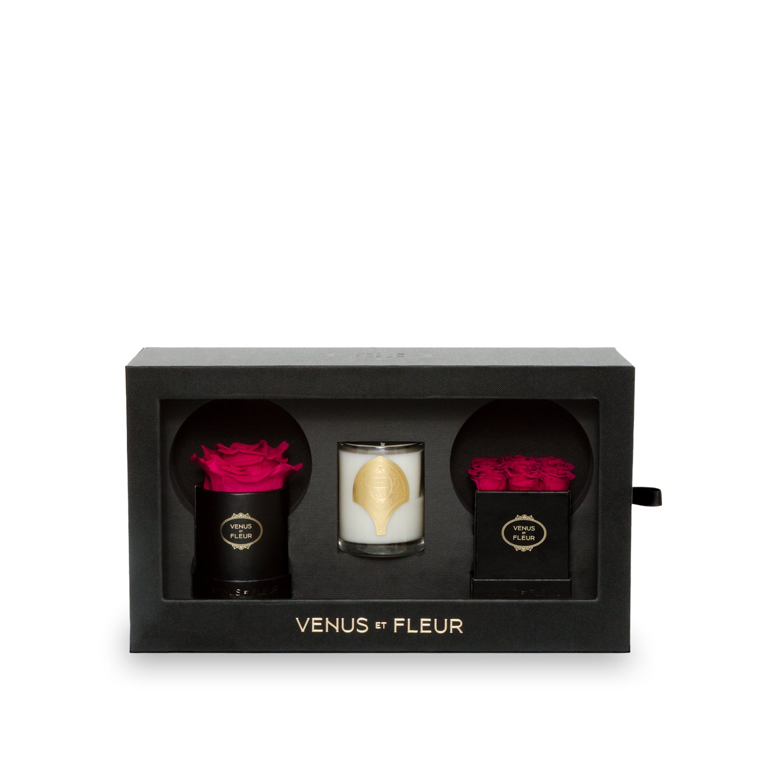 The Classic Bundle - Venusetflleur