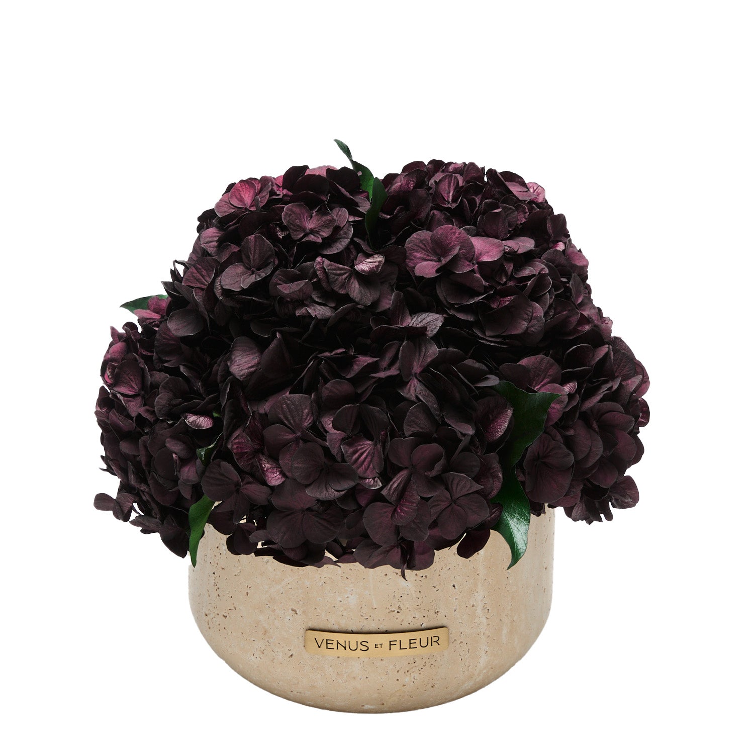 Terre Travertine Vase - Venusetflleur