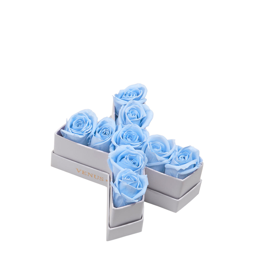 Le Mini Letter – X - Venusetflleur