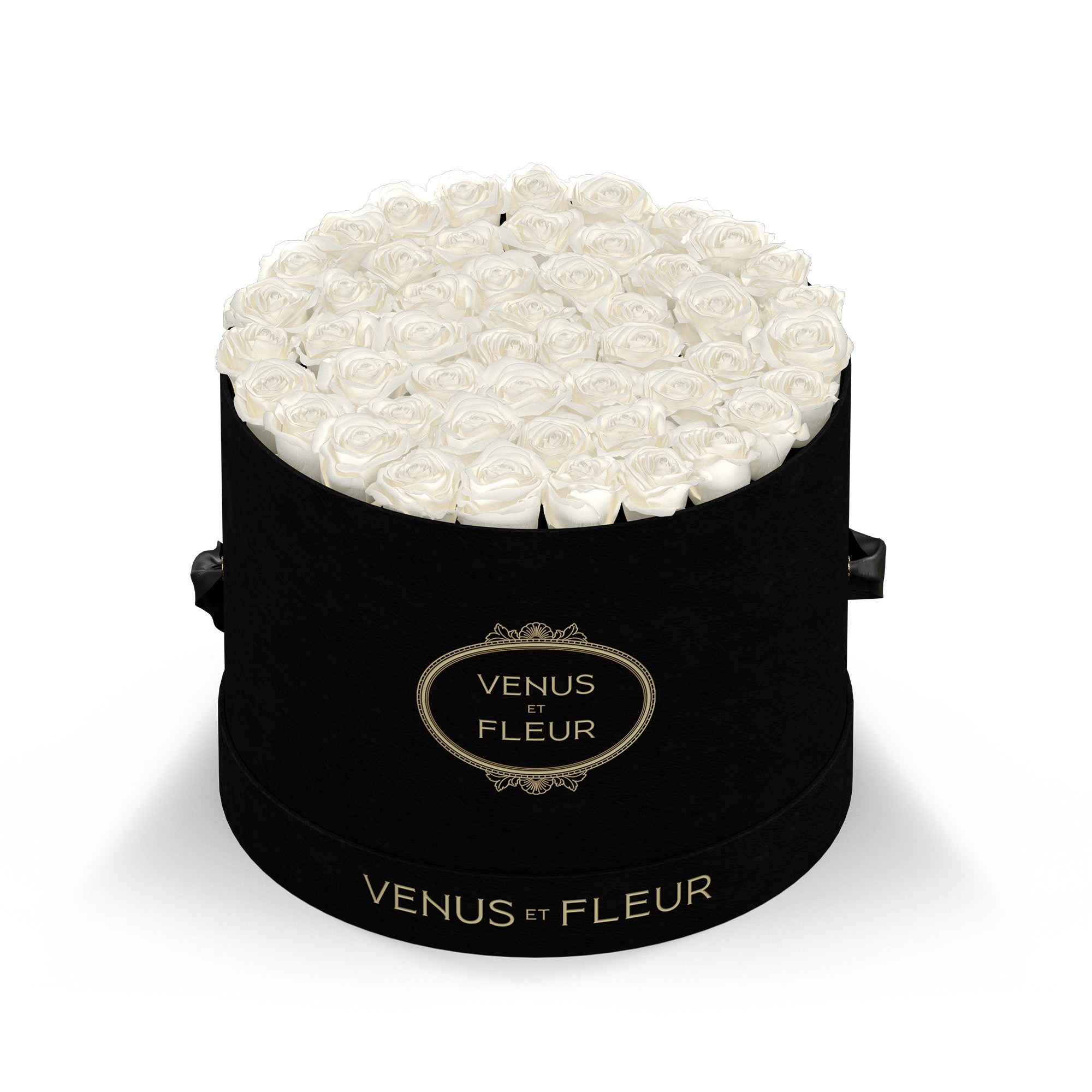 Large Round - Venusetflleur