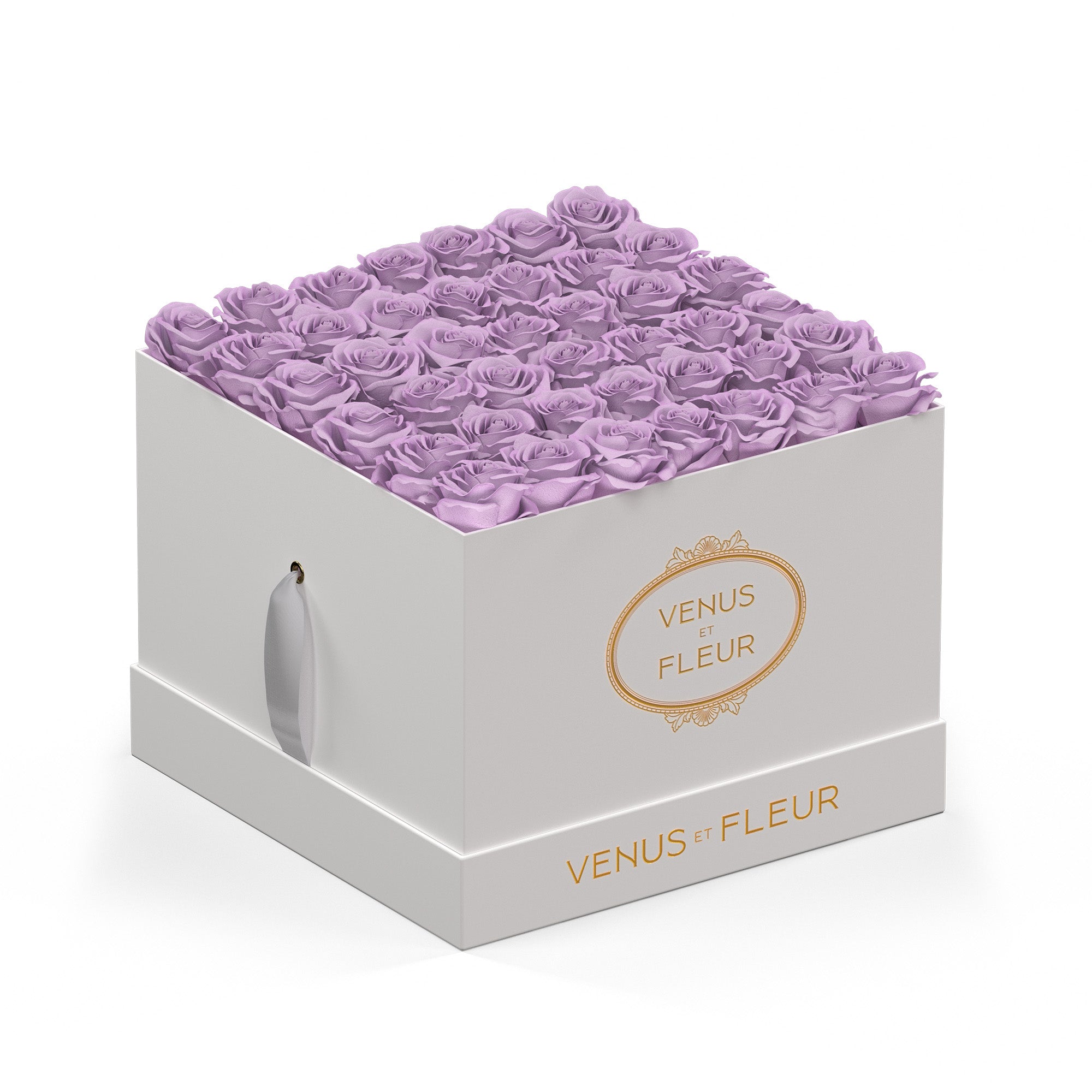 Large Square - Venusetflleur