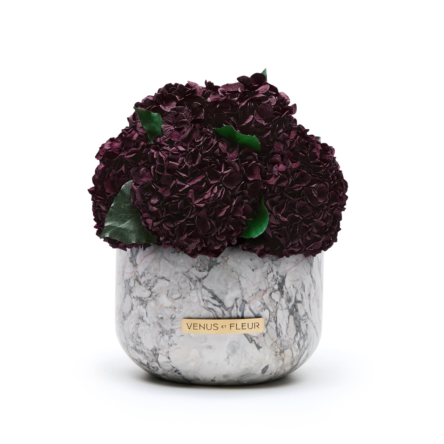 Gia Marble Vase - Venusetflleur