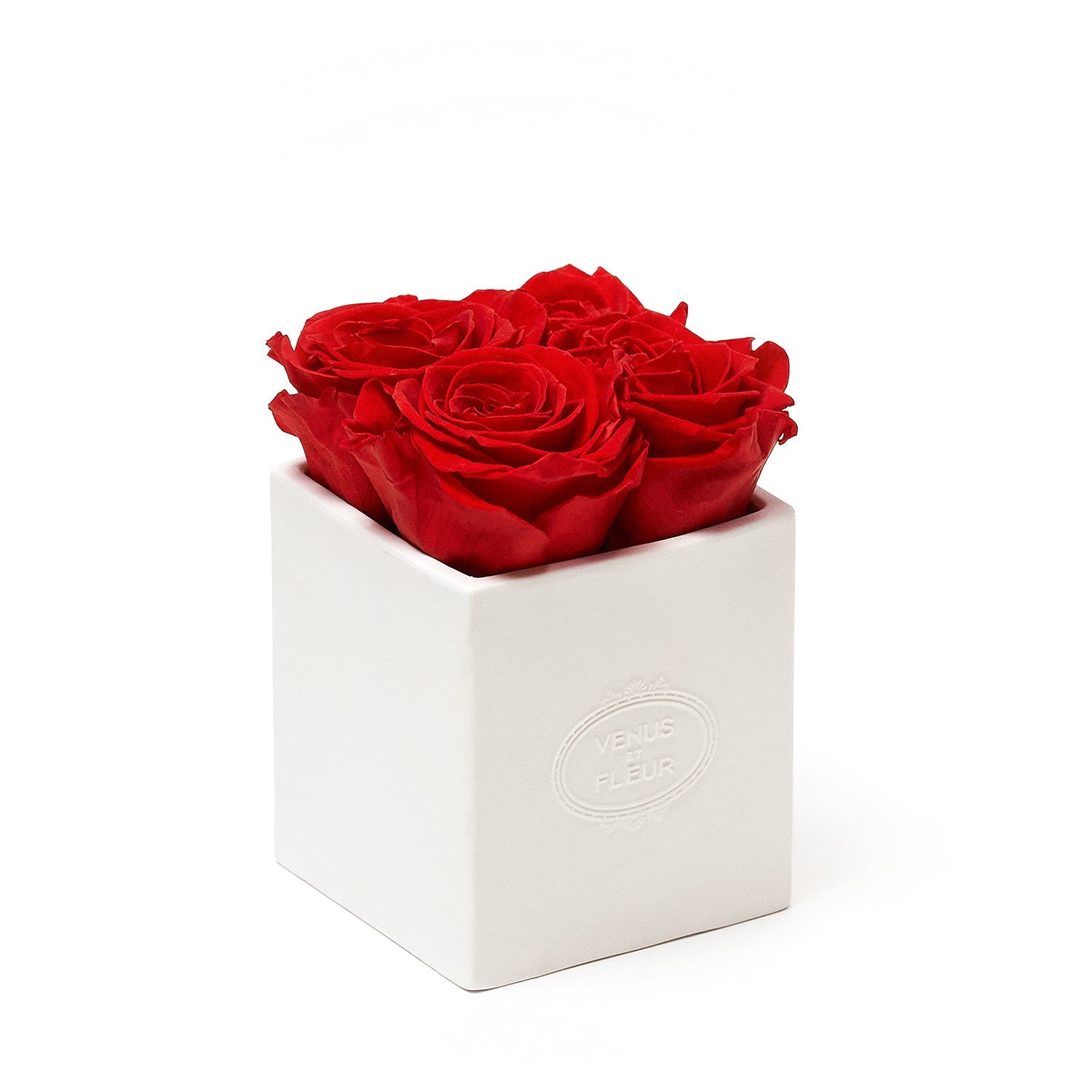 Sylvie Porcelain Vase - Venusetflleur
