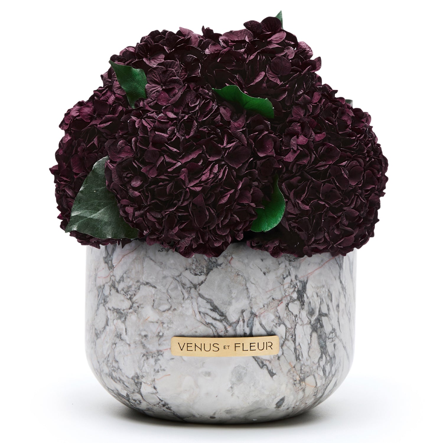 Gia Marble Vase - Venusetflleur