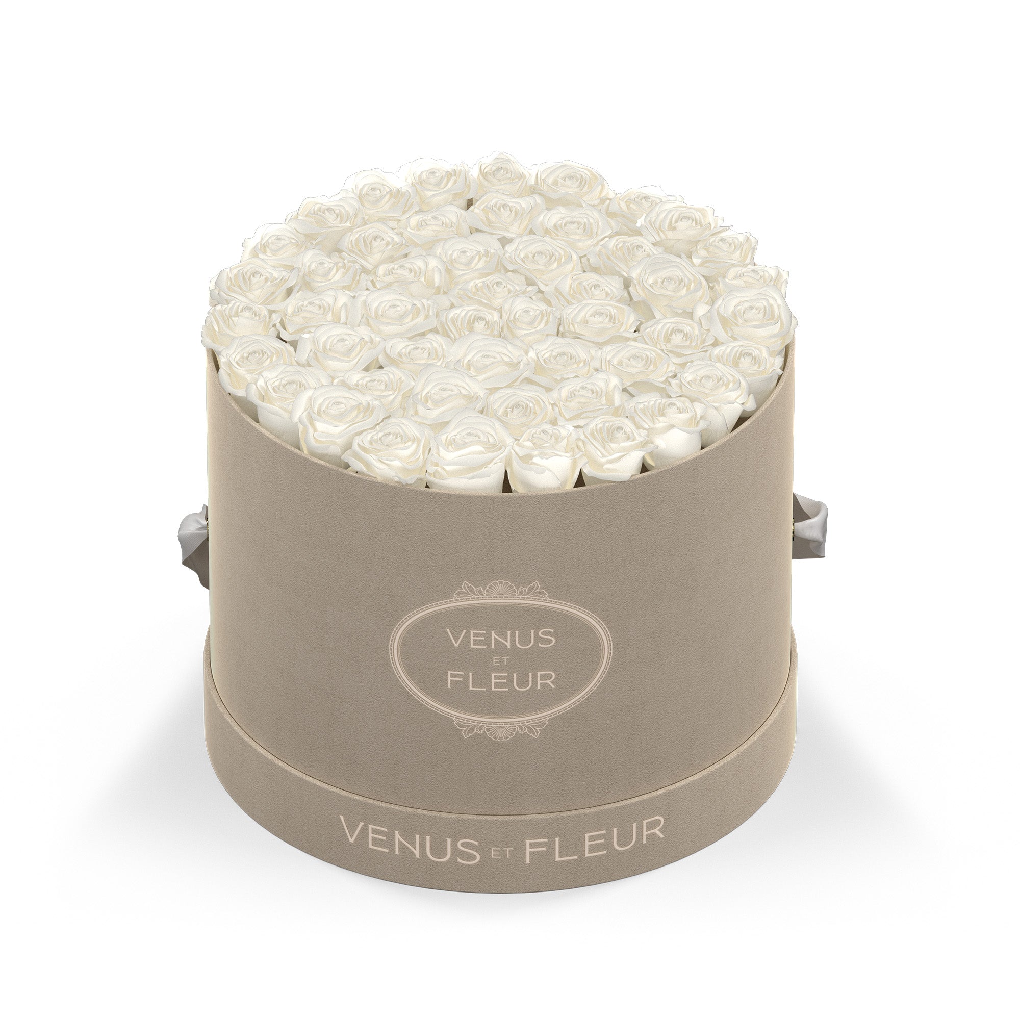 Large Round - Venusetflleur
