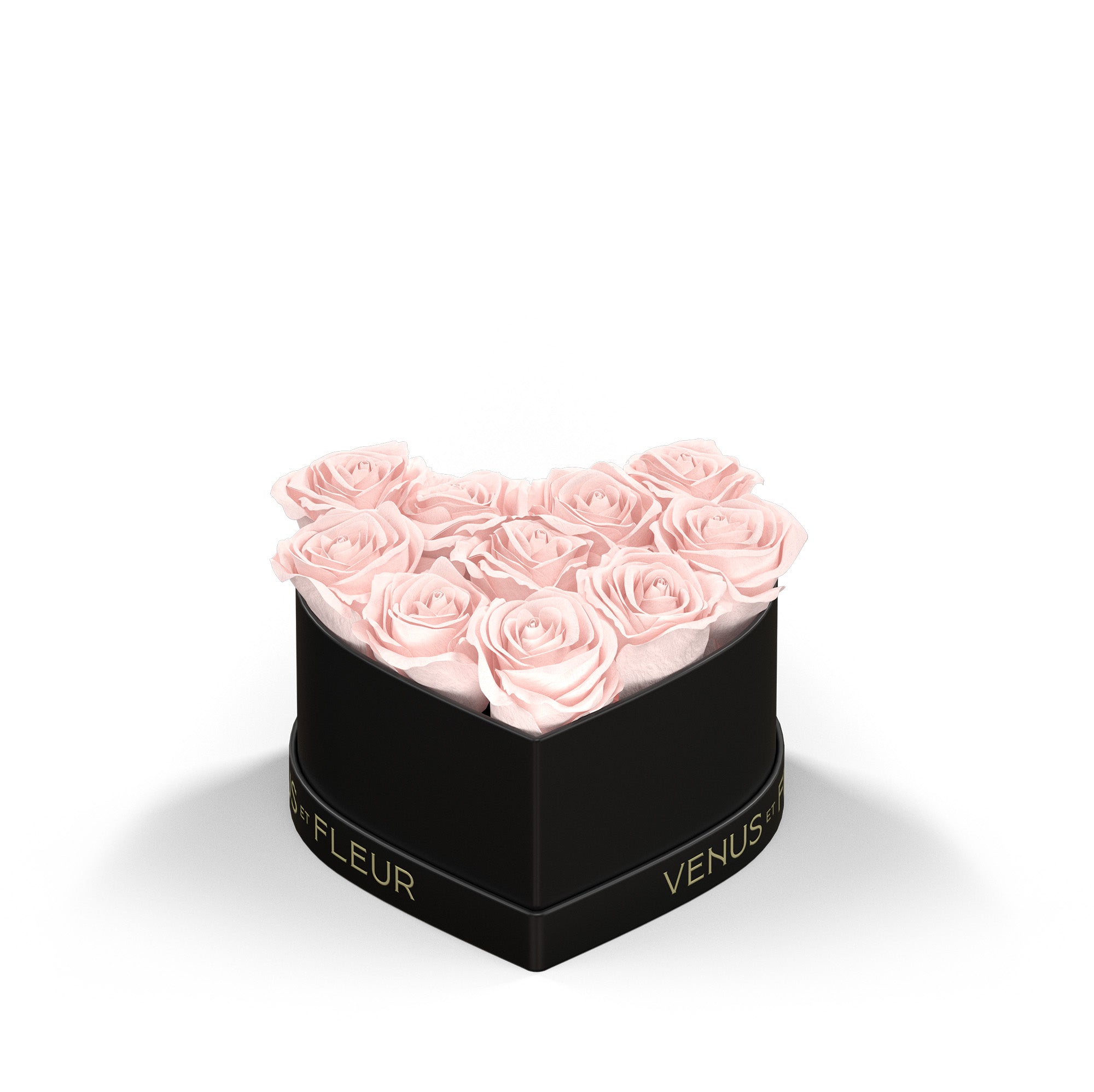 Petit Heart - Venusetflleur