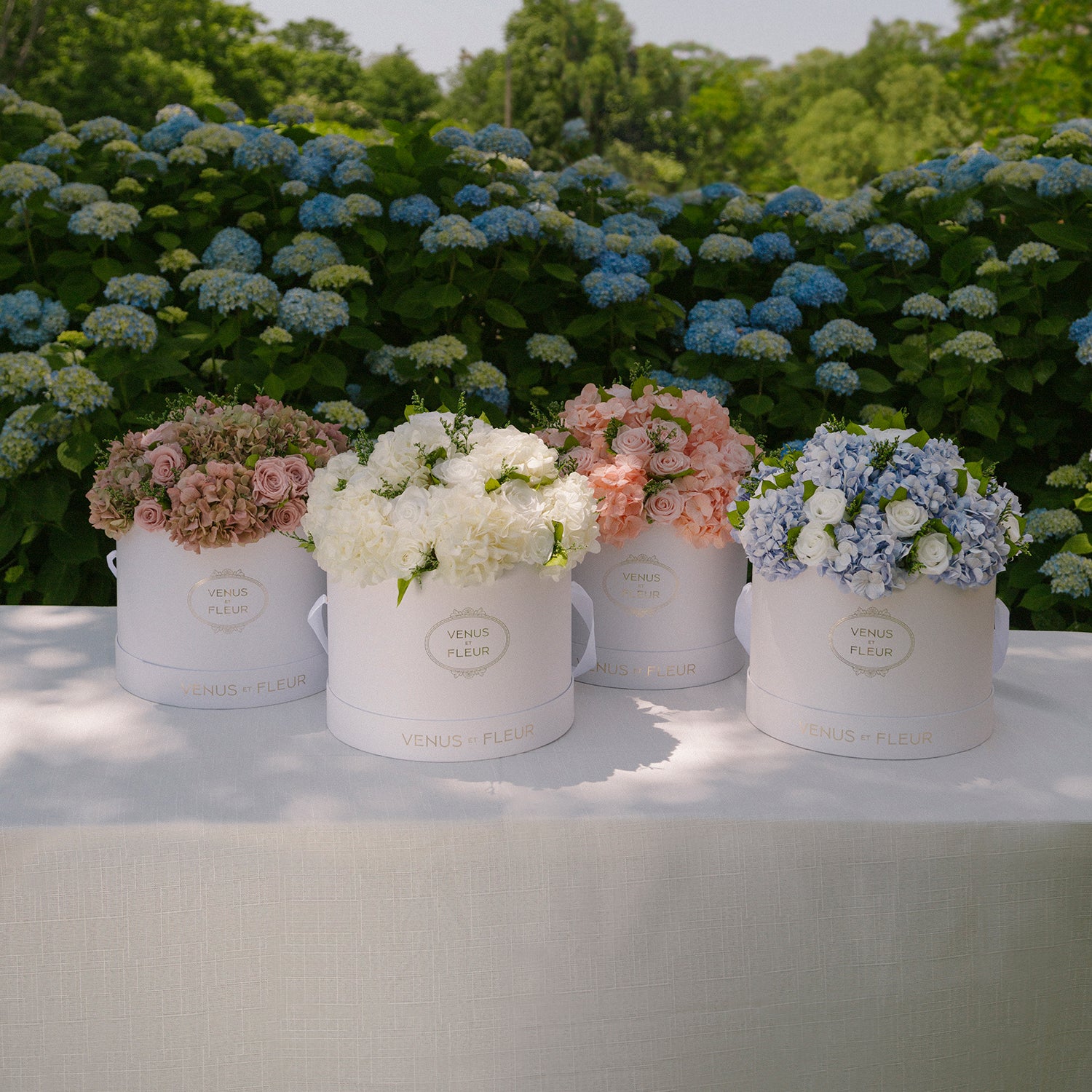 Large Round Roses & Hydrangeas - Venusetflleur
