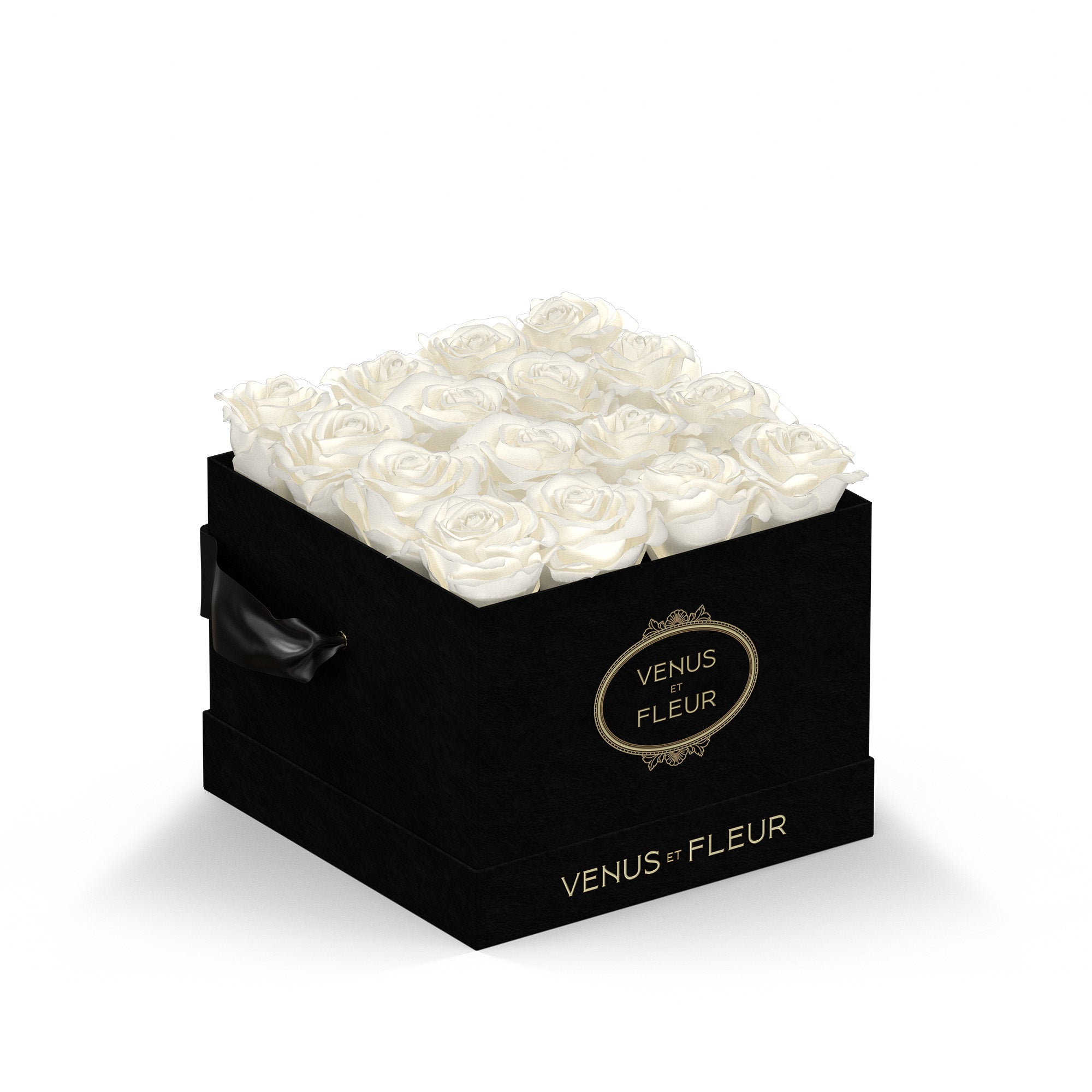 Small Square - Venusetflleur
