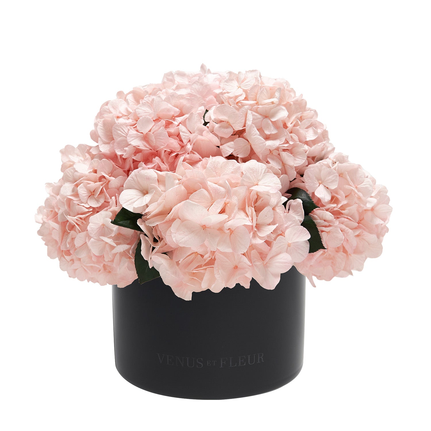 Eau Smoked Glass Vase - Venusetflleur