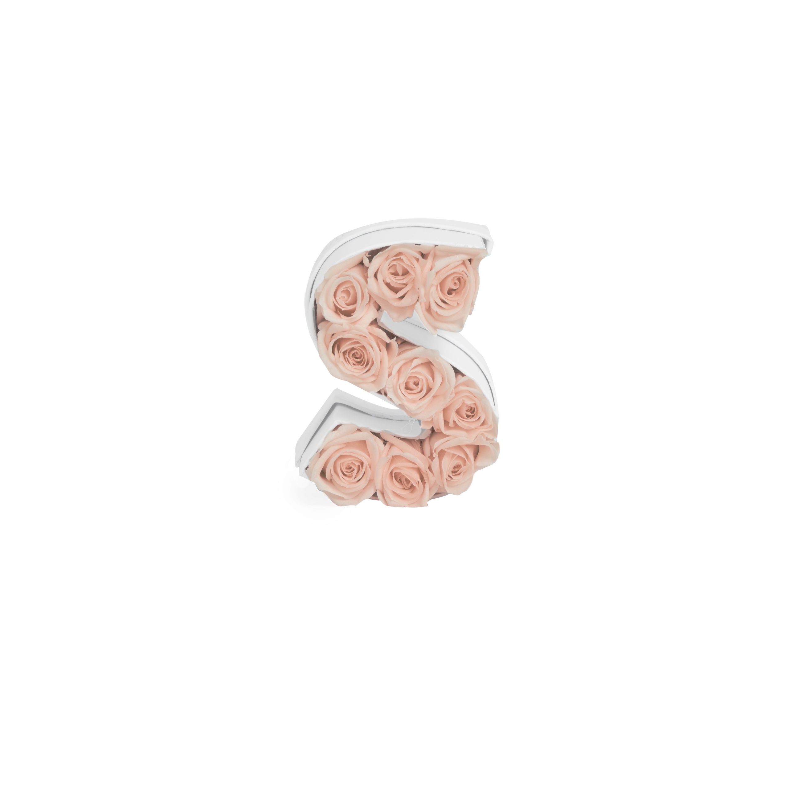 Le Mini Letter – S - Venusetflleur