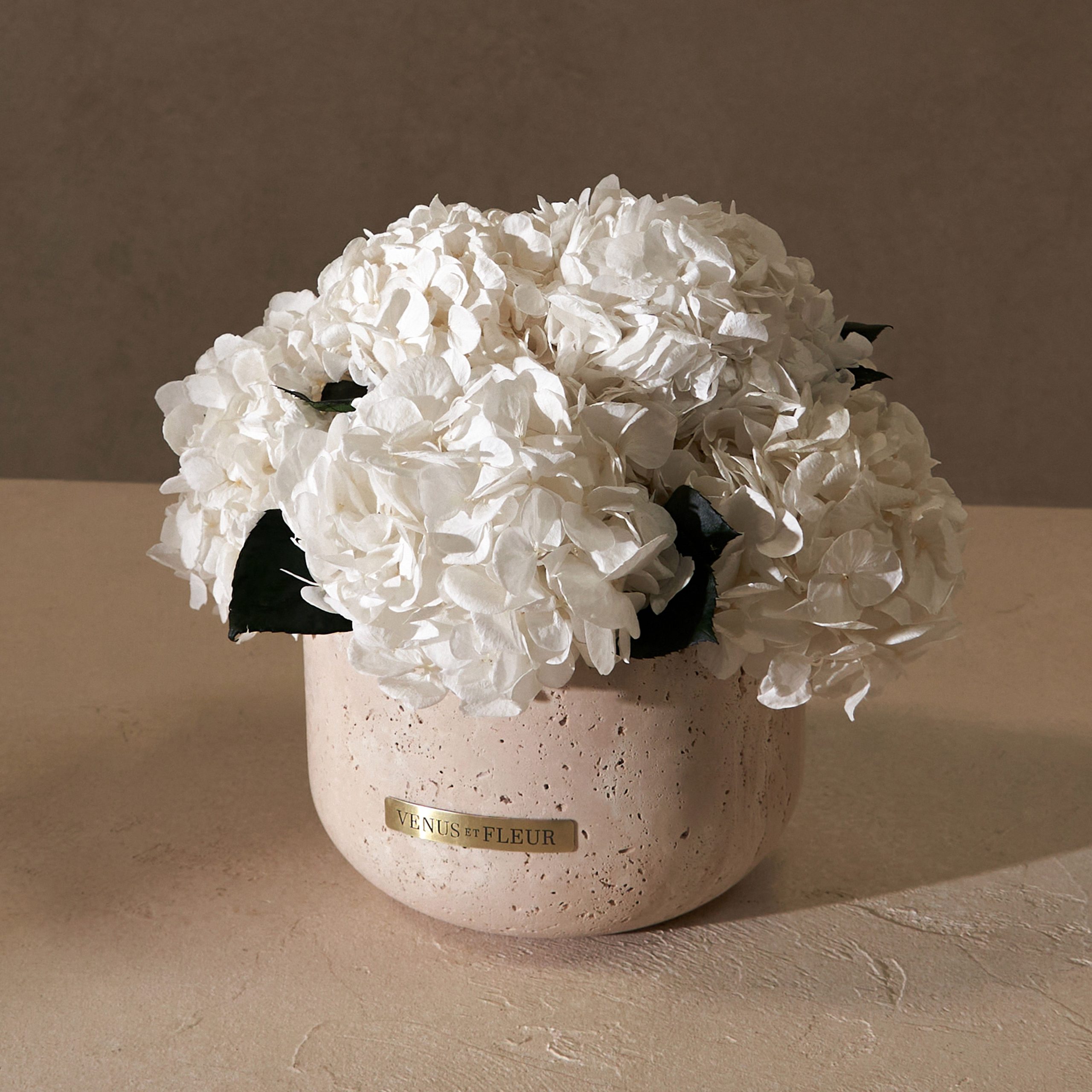 Terre Travertine Vase - Venusetflleur