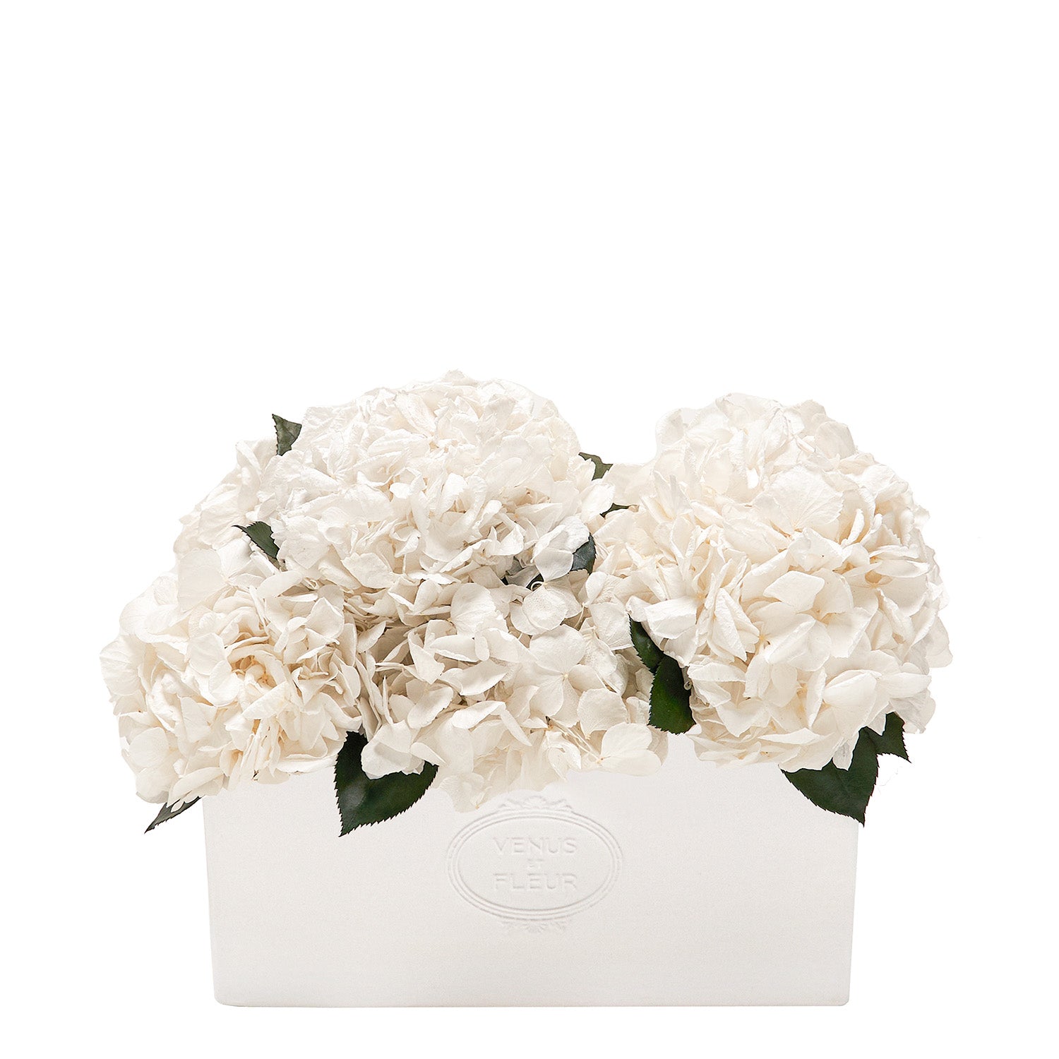 Serene Porcelain Vase - Venusetflleur