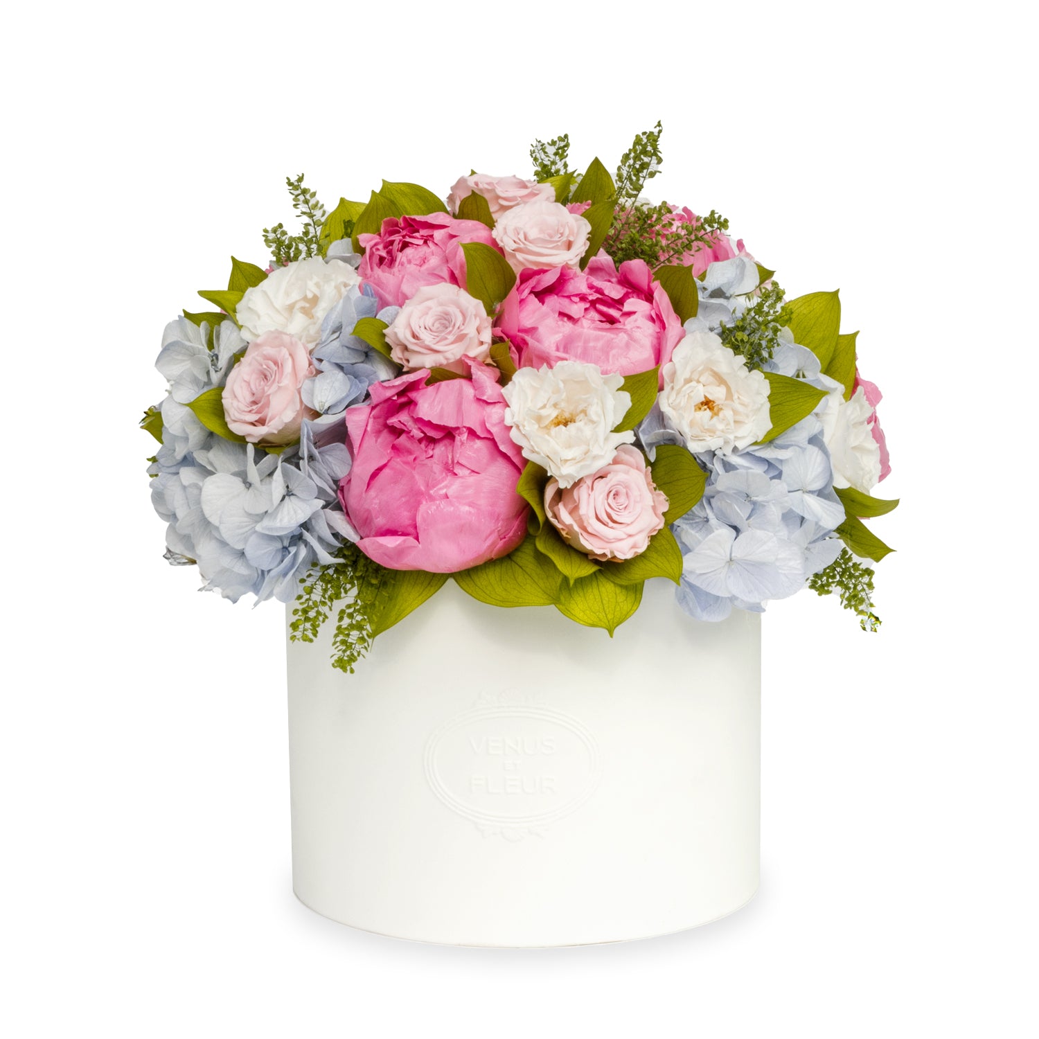 Thalia Porcelain Vase - Venusetflleur