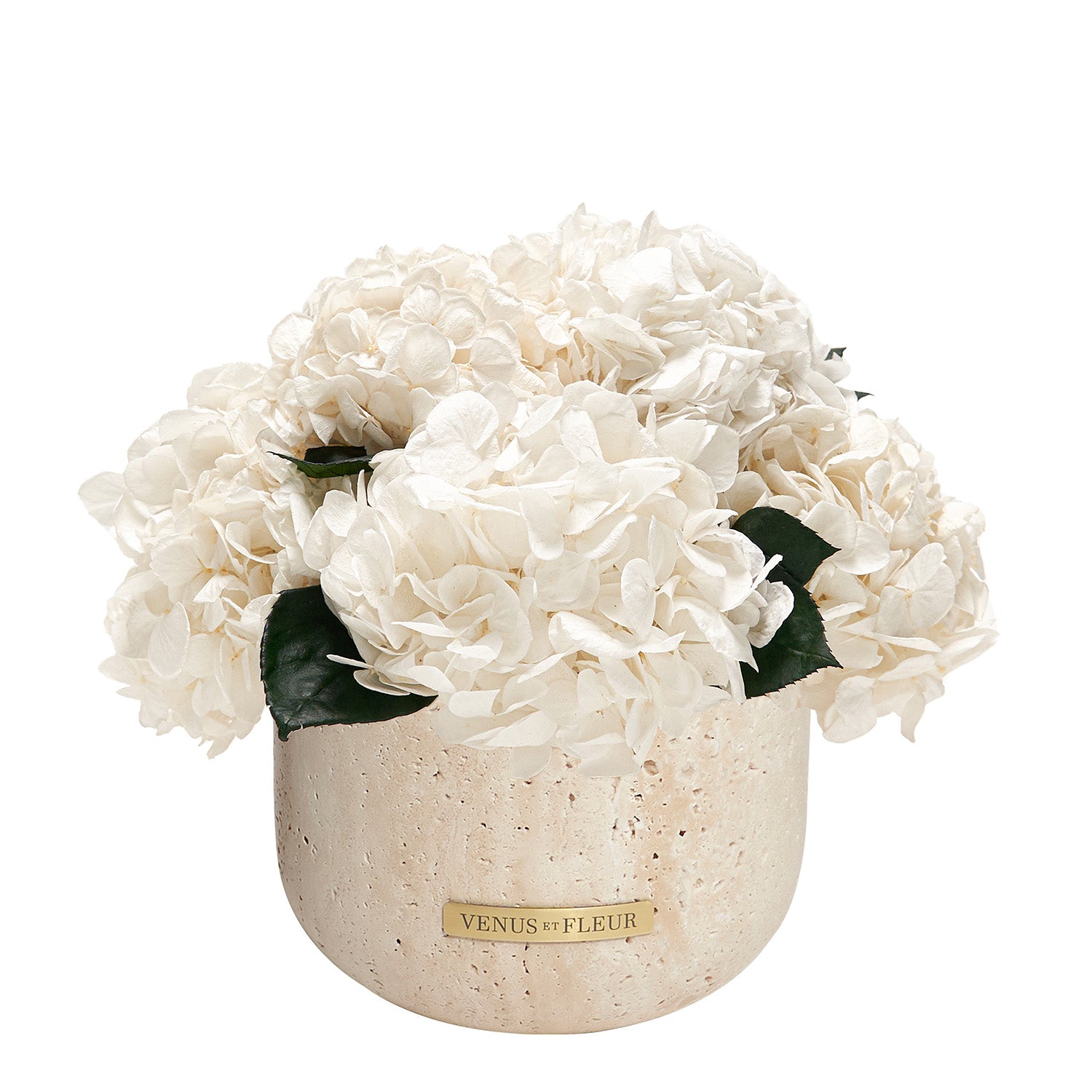 Terre Travertine Vase - Venusetflleur