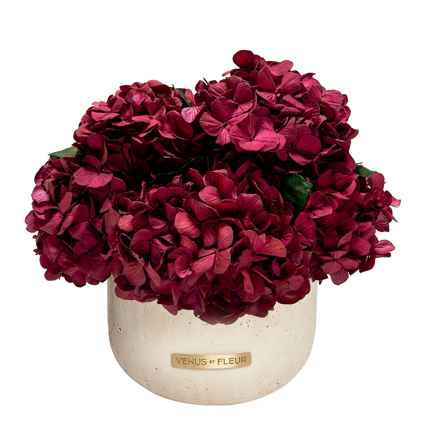 Terre Travertine Vase - Venusetflleur