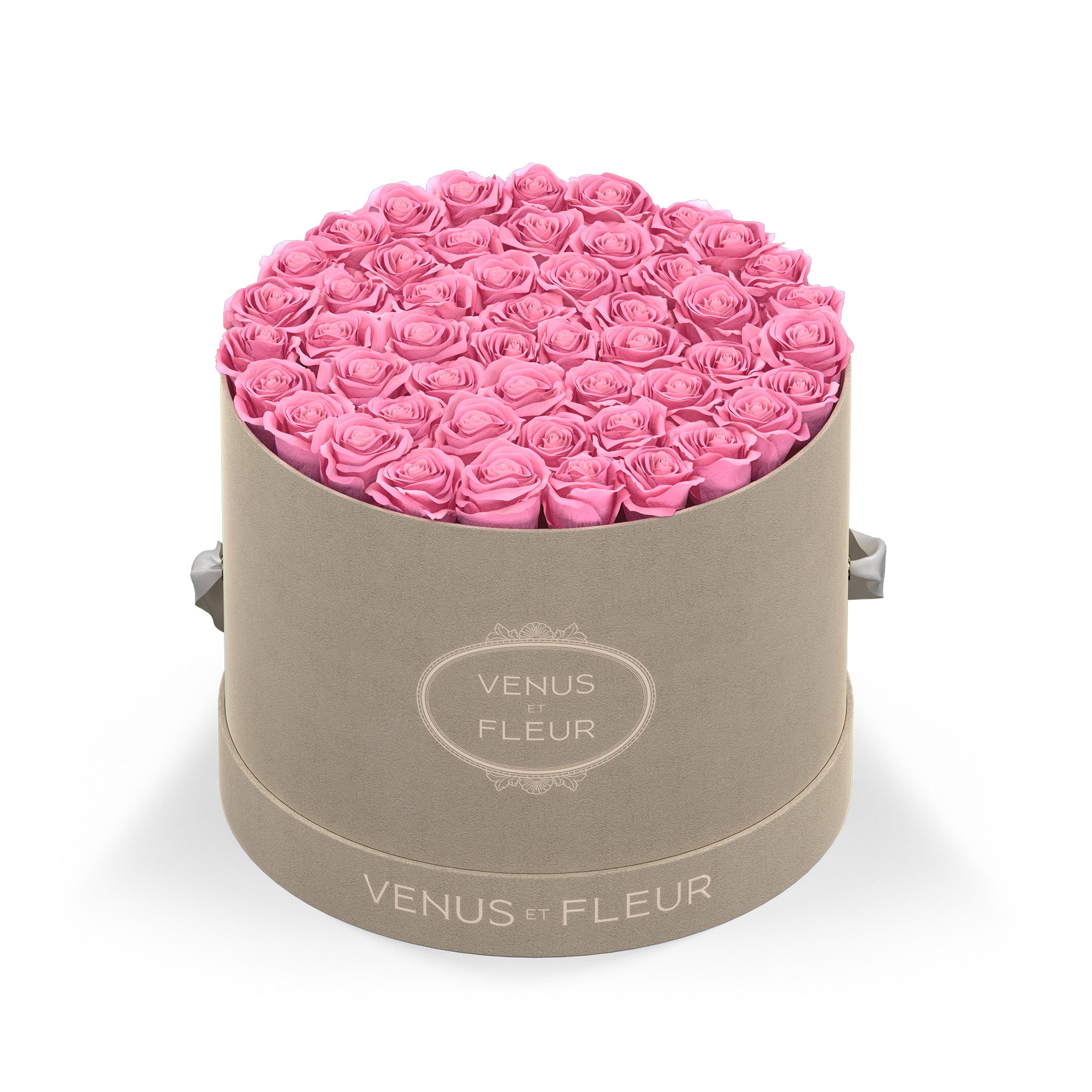 Large Round - Venusetflleur